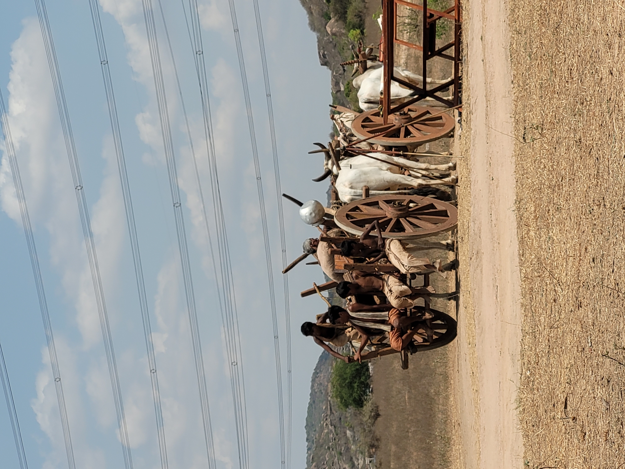 A horizontally-oriented, outdoor shot displays a procession of people on ox-drawn carts situated on a dirt road, against a backdrop of a partly cloudy sky, overhead electrical wires, a hillside with sparse vegetation, and a dry, grass-covered field.
The foreground features several wooden carts with large spoked wheels, each pulled by two white oxen. People, dressed in earth-toned clothing, are seated on the carts. One man is driving the first cart. A shiny, spherical object sits at the front of one cart.
The dirt road stretches alongside the carts, with a dry, grassy area occupying the right side of the image. In the background, a hillside with sparse vegetation is visible. Overhead electrical wires extend across the sky, which is a blend of light blue and white clouds.