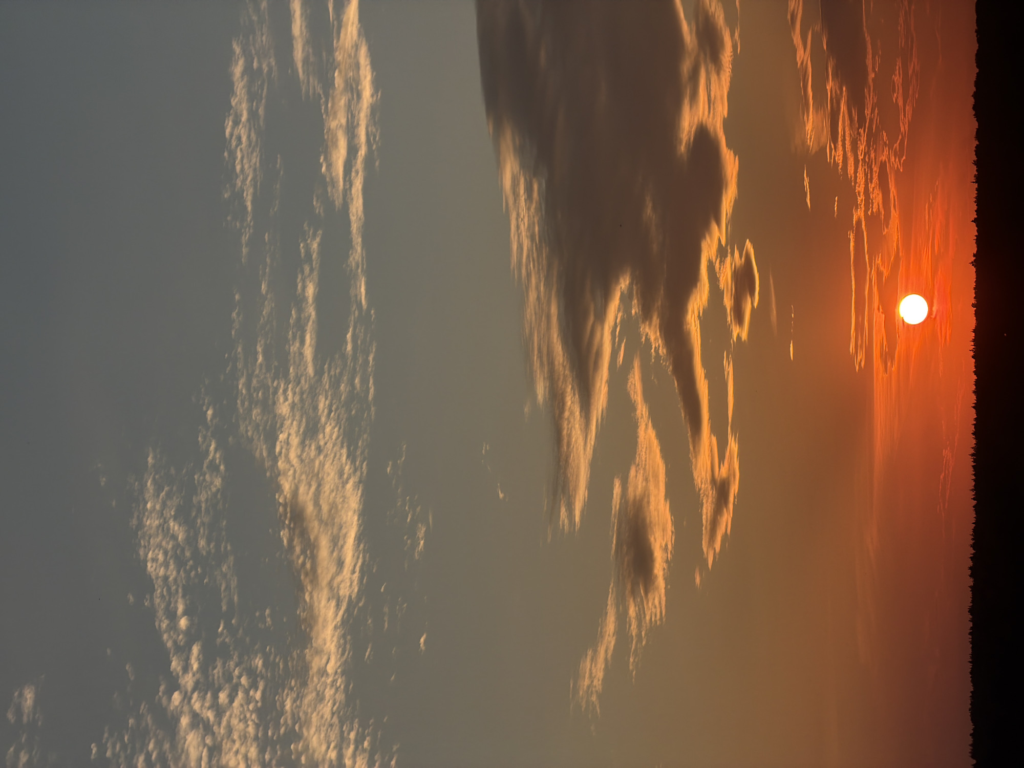 A photograph captures a vibrant sunset over a silhouetted horizon of trees. The sun, a bright white orb, is positioned just above the tree line on the left side of the frame, casting a warm orange glow across the sky. Wispy clouds, tinged with orange and pink, are scattered throughout the sky, with darker, heavier clouds gathering near the horizon. The sky transitions from a deep orange near the sun to a dusky blue at the top of the image. The ground is entirely obscured by a dark silhouette of trees, suggesting a natural landscape rather than an urban one. The image is taken from a low angle, emphasizing the vastness of the sky.
