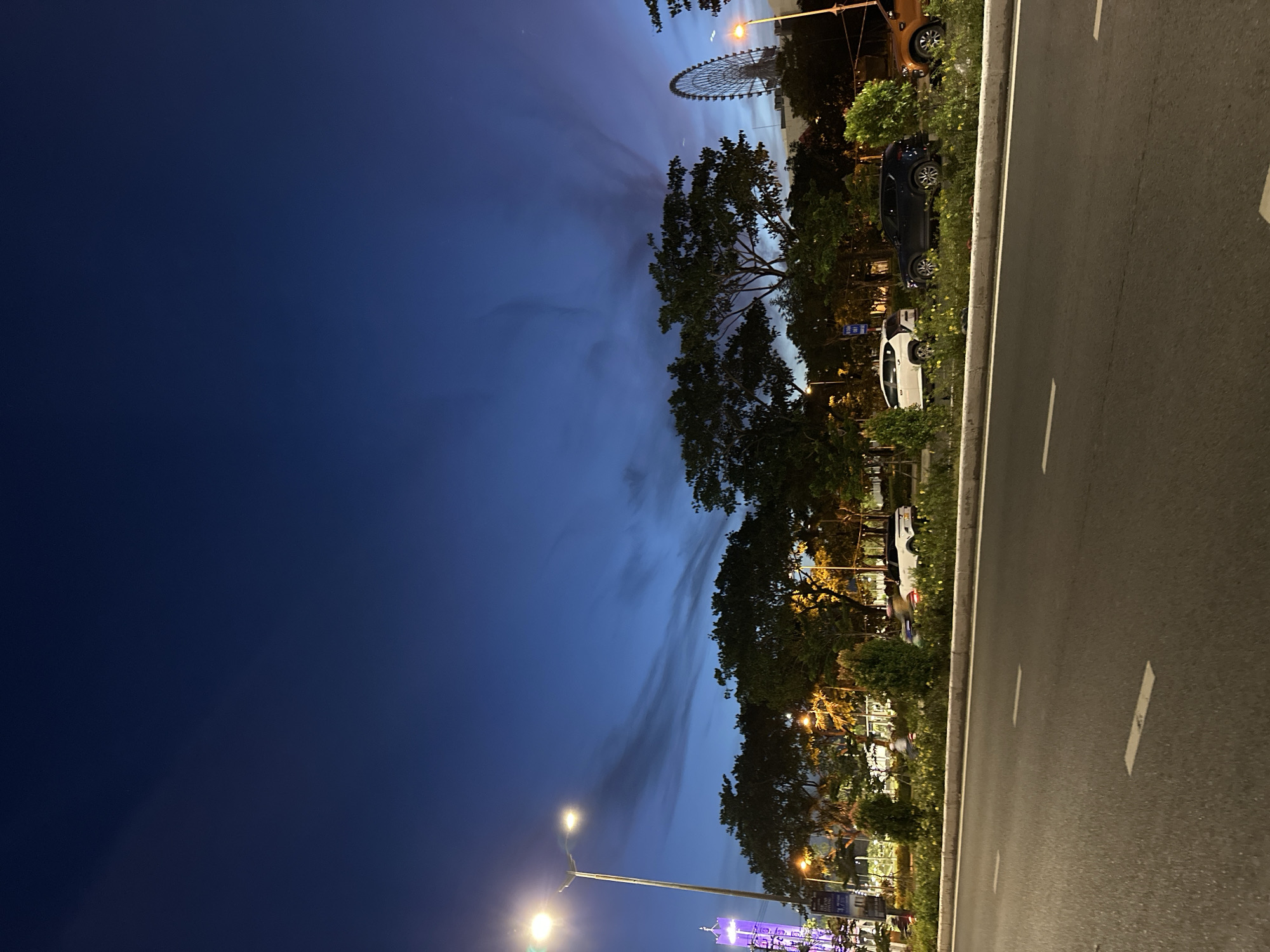 The image captures a dusk scene along a city street in Da Nang, Vietnam, likely near the Dragon Bridge or a similar landmark, given the presence of a Ferris wheel. The sky is a deep, twilight blue with dramatic, wispy clouds stretching across the horizon, illuminated by ambient light from streetlights and buildings.
In the foreground, a paved road with white lane markings runs horizontally across the bottom of the frame. A grassy median separates the road from a sidewalk and planted area.
Along the median, several parked vehicles are visible: a white SUV, a dark-colored SUV, and an orange SUV. Behind the vehicles, a line of trees with full foliage forms a dark silhouette against the brighter sky. Smaller decorative bushes and trees are scattered throughout the median.
To the left of the frame, a tall streetlight with a bright, glowing lamp is prominent. Further left, a tall, slender purple structure, possibly a building or monument, is partially visible, illuminated with lights. In the background, a large Ferris wheel stands out against the sky on the right side of the image, suggesting an entertainment district or park. The overall atmosphere is calm and serene, characteristic of an evening in a coastal city.