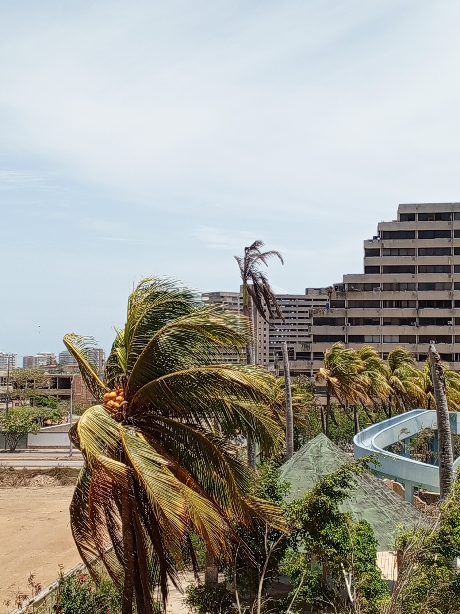 This image shows an abandoned resort in Porlamar, Venezuela. A tall, unfinished concrete building dominates the background. In the foreground, several palm trees, some with coconuts, are visible. A dilapidated water slide and pyramid-shaped structures are interspersed with overgrown vegetation, indicating neglect. The sky is partly cloudy. A sandy area is present between the palm trees and the building, and other buildings are in the background.