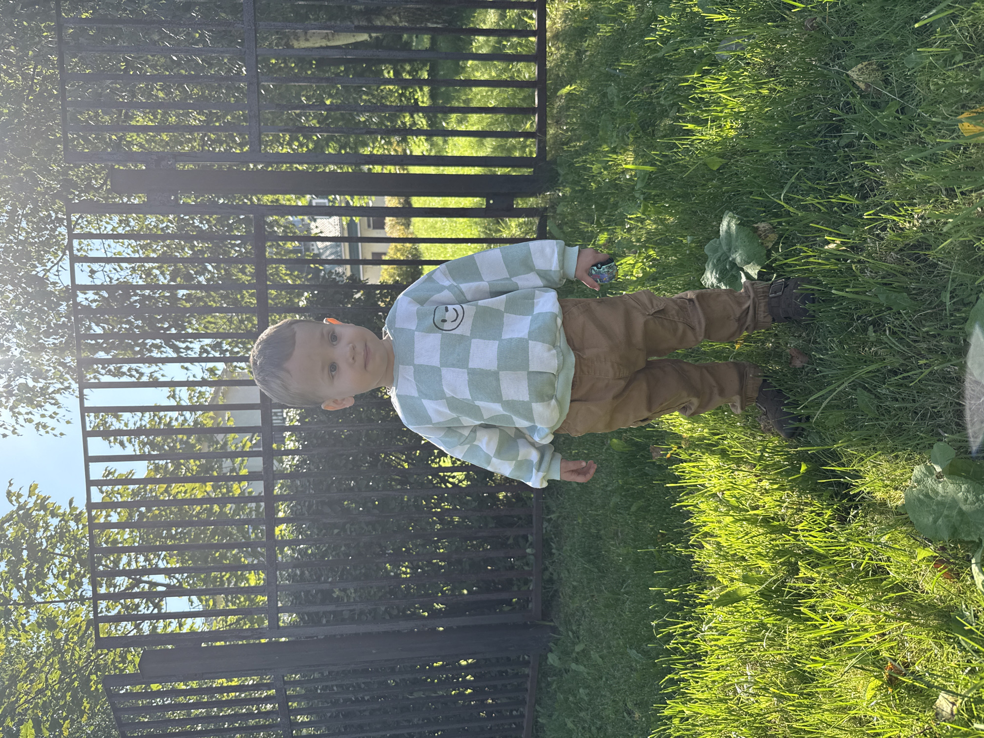 A young boy stands in a grassy yard, bathed in sunlight. He is wearing a light green and white checkered long-sleeved shirt with a smiley face graphic on the left chest, and brown cargo pants. He holds a small green toy in his right hand. Behind him is a black metal fence, and beyond that, trees and a building. The ground is covered in green grass with some fallen leaves. The scene appears to be outdoors in a residential area.
