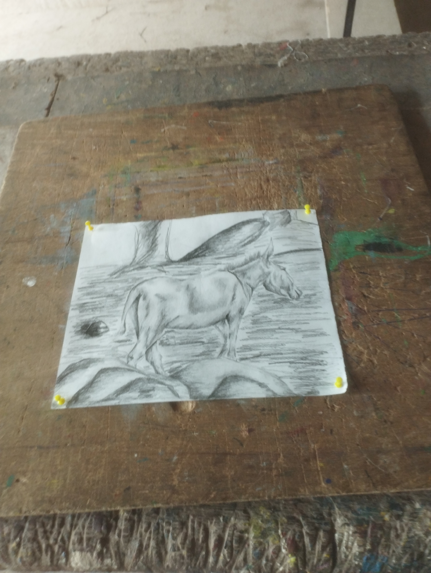 A pencil drawing of a donkey is pinned to a wooden surface. The donkey is depicted in profile, facing right, with its head lowered. It stands on a rocky, uneven terrain, with some foliage suggested in the background. The drawing is rendered in grayscale, with varying shades of pencil used to create form and texture. The wooden surface appears to be aged and worn, with visible grain and some smudges of color, possibly from paint or other art supplies. The overall scene suggests an art studio or a workspace dedicated to creative activities. The location is not specified as being in a city.