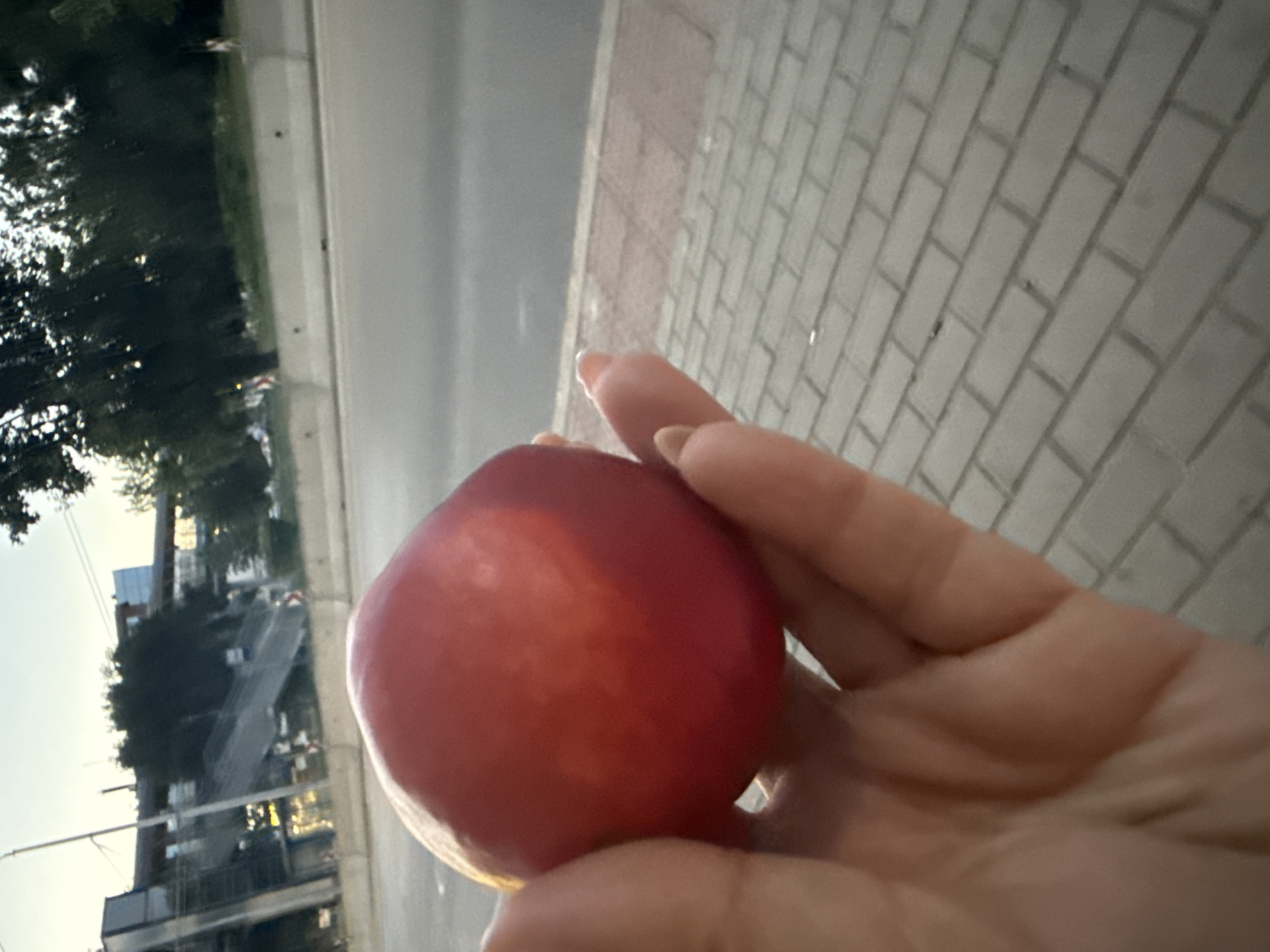 A person's hand is holding a red plum in front of a blurred background of a street, a sidewalk, trees, and a pedestrian overpass. The hand has manicured nails and is partially obscuring the plum. The plum is round and red with some yellow blush. The sidewalk is made of grey bricks laid in a stretcher bond pattern. The street is paved with asphalt and appears to be a multi-lane road. The sky is overcast and the lighting suggests it is either early morning or late afternoon.
