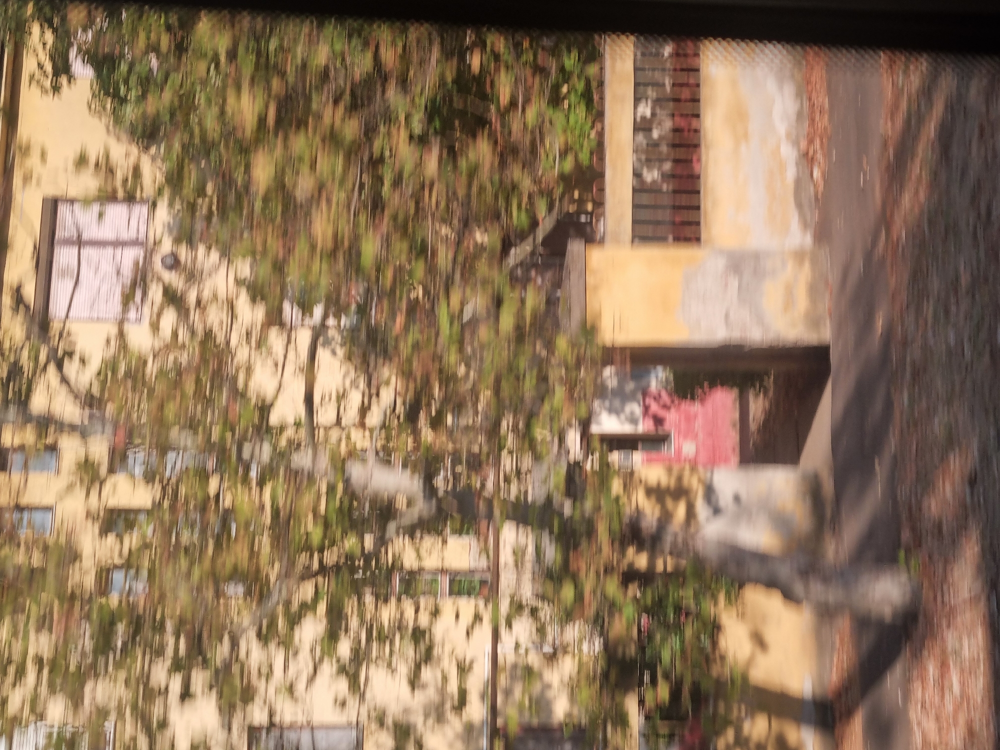 The image depicts a street scene in Berettyóújfalu, Hungary, characterized by motion blur due to movement during photography. A light-yellow building with multiple windows, some with blinds, occupies the background. A large tree with blurred green and brown foliage is prominently positioned in the foreground and midground, partially obscuring the building. In the lower portion of the image, a paved surface, likely a sidewalk or road, is visible with scattered leaves and shadows cast by the tree. A grey, cylindrical object, possibly a pillar or a portion of a statue, stands on the paved surface to the left of the image's center. To the right, a portion of a fence with dark vertical bars is visible, adjacent to the building. The overall impression is that of a residential or commercial street with mature trees and weathered building facades, captured from a moving vehicle.