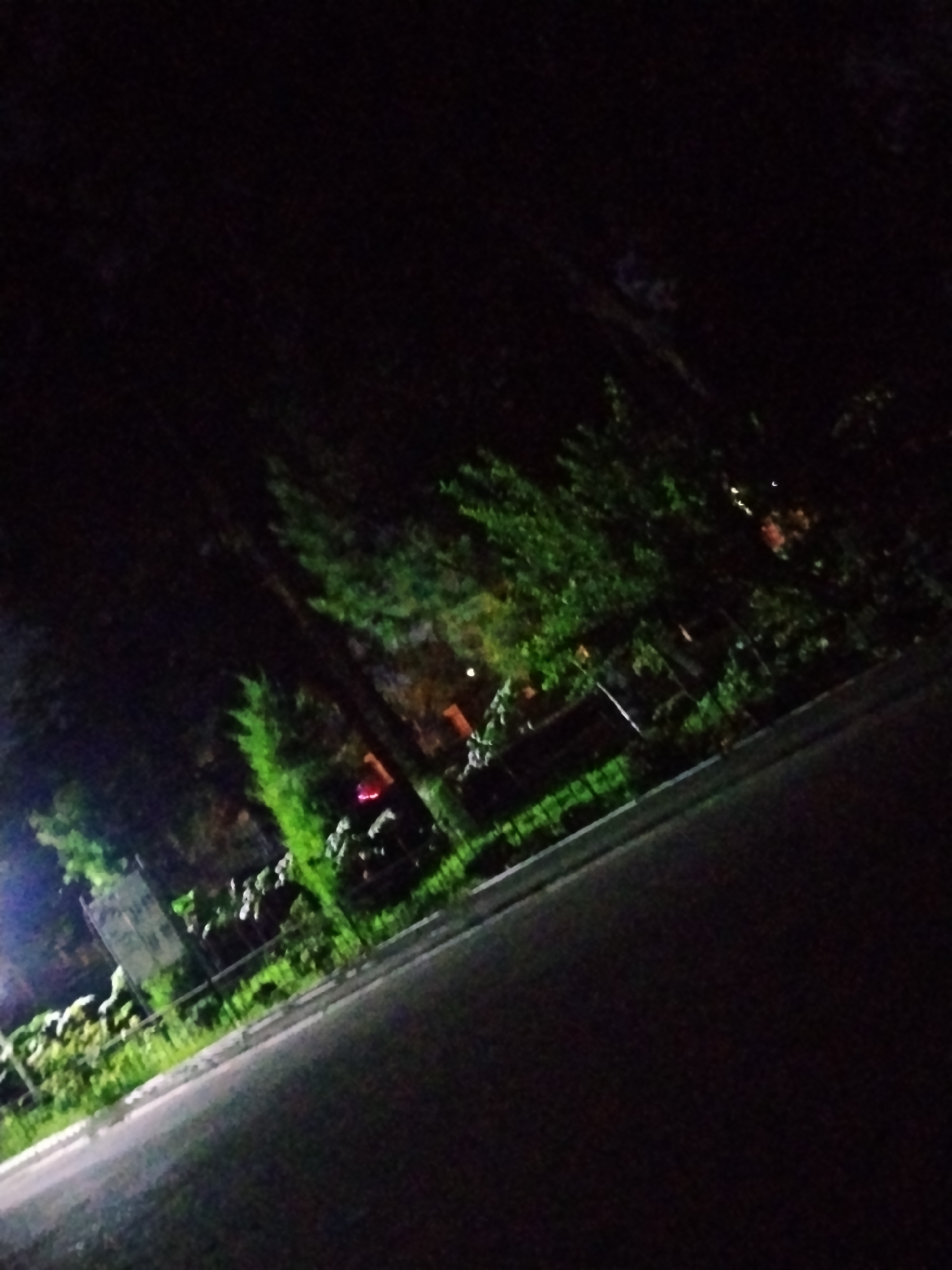 The image depicts a dimly lit park area at night, likely in Tashkent, Uzbekistan. The foreground is dominated by a dark asphalt surface, possibly a road or pathway, angled from the lower left to the upper right. To the left of the asphalt, a strip of greenery with visible white flowers and foliage lines the edge, separated by a white line. Beyond this, a fence can be seen, with a park bench or similar structure visible behind it. Further back, trees with vibrant green foliage are illuminated by artificial light sources, casting shadows and creating a contrast with the dark sky. Some of these trees have bright, almost neon green coloration, suggesting they might be illuminated by colored lights or are of a type that glows under certain lighting conditions. A faint, reddish light is visible amongst the foliage in the mid-ground, and a small, bright white light is present higher up. The overall scene is characteristic of a park or public garden after dark, with elements of landscaping and artificial illumination.