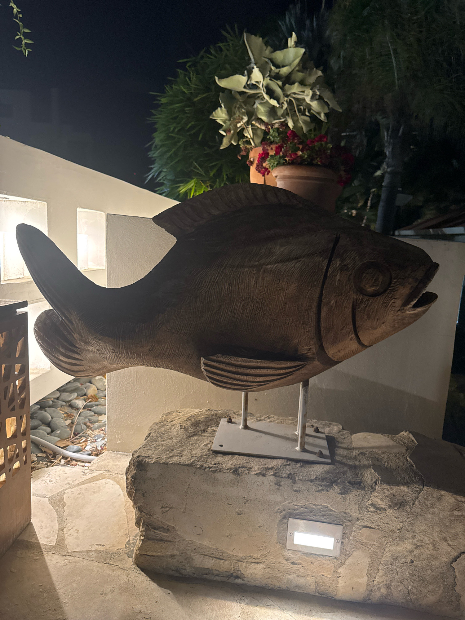 The image shows a large wooden sculpture of a fish, positioned on a rough stone base. The sculpture is dark brown and appears to be weathered. It is mounted on two thin metal legs that are bolted to a metal plate, which in turn is attached to the stone. The fish sculpture is illuminated by ambient light sources, some of which are visible as rectangular fixtures embedded in the stone base and in the wall behind the sculpture. The background features lush green foliage and potted plants, suggesting an outdoor setting, possibly a garden or courtyard. The overall scene is dimly lit, indicating it is nighttime. The location is identified as Agios Tychona Community, Cyprus.