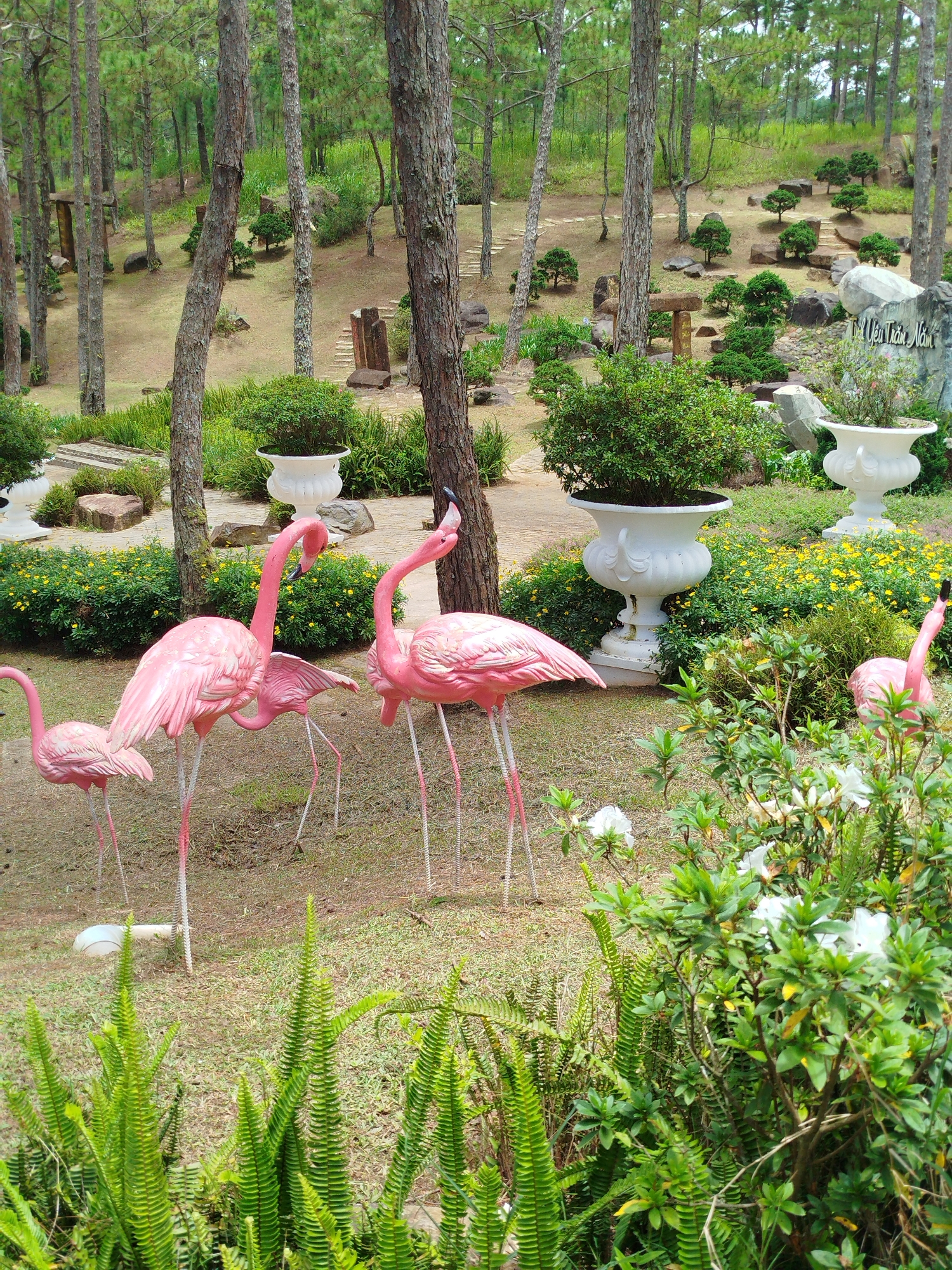 The image depicts a garden scene located in Lam Vien - Da Lat, Vietnam. The foreground is dominated by several life-sized pink flamingo statues, positioned on a grassy area with scattered ferns and greenery. In the background, the garden features well-maintained landscaping with pine trees, small ornamental trees, rocks, and decorative stone elements. Two large white urns are visible among the plants. A stone monument with Vietnamese script is also present on the right side of the frame. The overall atmosphere is that of a tranquil, decorative garden.