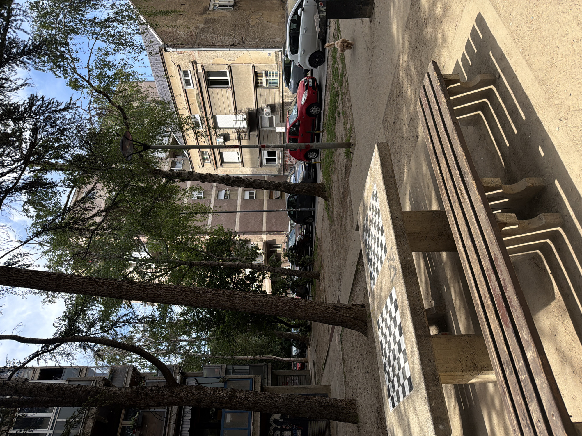 The image shows a street scene in Belgrade, Serbia. A concrete bench with a chessboard pattern on its surface sits on the right side of the frame, casting strong shadows on the ground. Trees line the street on the left side, their branches obscuring the buildings in the background. Cars are parked along the side of the street, including a red car and a white car. A small, tan dog is walking near the parked cars. The buildings in the background are multi-story apartment buildings. A lamppost is visible in the middle of the frame. The sky is visible through the trees, indicating a sunny day.