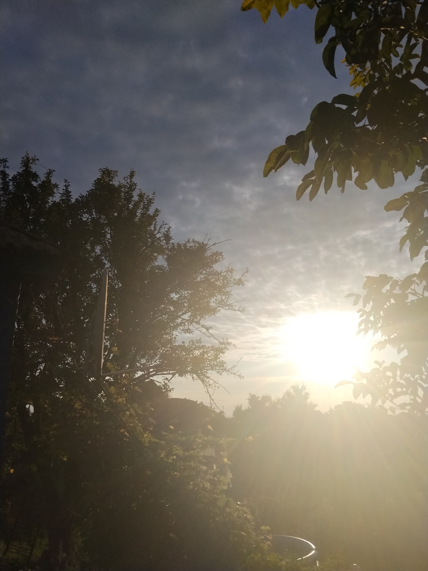 This image depicts an outdoor scene bathed in the bright, hazy sunlight of what appears to be late afternoon or early morning. The sun is a dominant element, positioned in the right-center of the frame, casting strong rays that diffuse through the atmosphere and create a luminous glow. Silhouetted against the sky and sun are the branches and leaves of trees, with some foliage appearing in the foreground and along the edges of the image. The sky above is a mix of blue and soft, scattered clouds. In the lower left quadrant, a portion of a dark, angular structure, possibly a building or shed, is visible, partially obscured by greenery. The lower part of the image shows dense vegetation and hints of what might be a ground-level object, possibly a dark, curved container. The overall impression is one of a natural, possibly rural or suburban setting, with the strong sunlight creating a sense of warmth and a slightly ethereal quality. The location is identified as Ustyvytsia, Ukraine.
