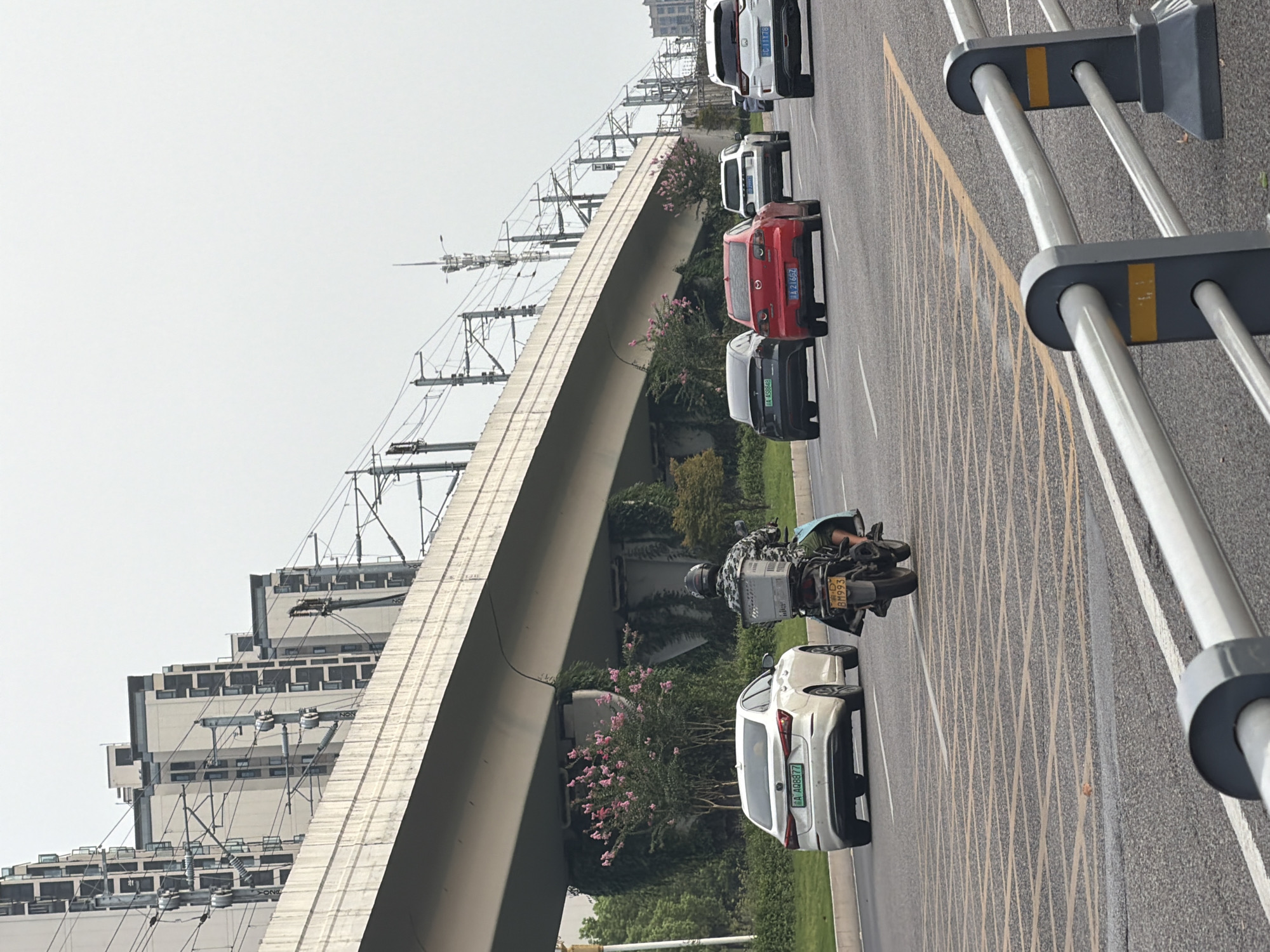 The image depicts a street scene in Jiangjin, China, under an elevated overpass. The overpass supports railway tracks, indicated by the presence of overhead electrical wires and poles. Several vehicles are visible on the road, including a white sedan with license plate "AA AQ8877", a red sedan with license plate "AA 216GZ", a black Tesla with license plate "AA A58648", a white SUV with license plate "BJ C11XZB", and another white SUV. A motorcycle with a person wearing a camouflaged jacket and a helmet is also present, carrying a gray basket on the back. The road surface is asphalt with yellow lane markings. To the right, metal guardrails with yellow accents are installed. The surrounding environment features green grass and bushes, with pink flowering plants growing on the side of the road and under the overpass. In the background, tall residential buildings with numerous windows are visible, along with more utility poles and electrical infrastructure. The sky is overcast and gray.