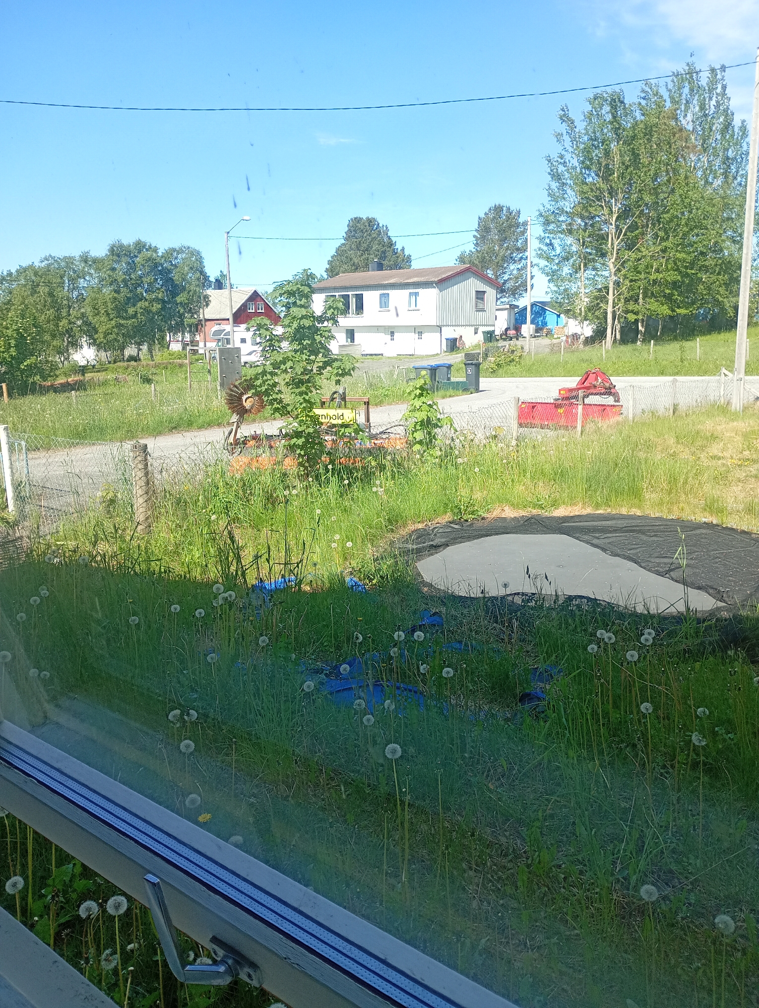 This image captures an outdoor scene from an interior vantage point, looking through a window, in the city of Unknown, Unknown. The photograph, taken on a clear, bright day under a blue sky, presents a suburban or rural landscape.
In the immediate foreground, the bottom portion of a window frame is visible. The view beyond is dominated by an expanse of unkempt green grass, heavily populated with mature dandelion seed heads. A blue tarp is partially obscured by the grass in the lower mid-left. To the right, a large, irregularly shaped section of ground is covered by black netting, revealing a light gray surface, possibly concrete or bare earth, underneath.
The midground features a gravel or dirt road/path that curves from the left towards the center-right. A chain-link fence with wooden posts runs along the edge of this path. Several residential structures are present: a two-story white house with a dark roof and green-gray siding is on the far left, beyond the fence. Further right, a red house with white trim and a gray roof is visible, with a white camper or caravan parked nearby. Another white two-story house, similar to the one on the left, is situated to the right. A small blue utility building is visible in the background, behind the houses on the right.
Various trees, primarily deciduous with full green foliage, are scattered across the scene. A tall street light pole stands near the center-left. To its right, a circular metal sculpture, possibly decorative or artistic, is discernible. A yellow sign, partially readable as "enhold," is fixed on a post near a small tree. Several dark-colored waste bins are positioned near the white house on the left. Behind the fence on the right, a red piece of machinery or equipment, possibly a hydraulic arm or a trailer component, is visible.
The background consists of a clear, bright blue sky with no clouds, and additional dense green tree lines on the right horizon. Faint smudges or streaks are present on the window glass, particularly noticeable in the sky portion. No people or animals are visible, and no actions or interactions are depicted.