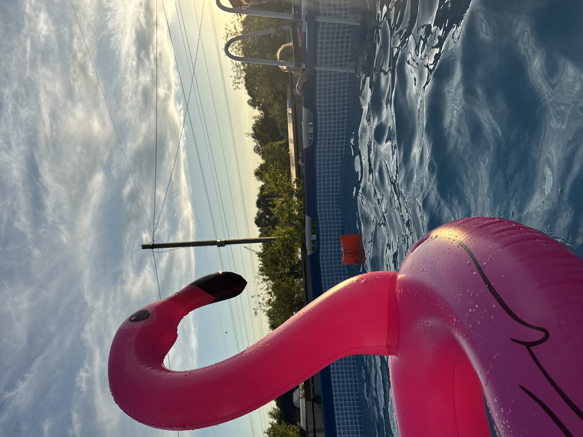 This image, captured in Chaikovsky, Russia, presents a low-angle perspective of an outdoor swimming pool scene during the late afternoon or early evening. The warm, golden light of the setting sun bathes the horizon, creating a serene and inviting atmosphere.
In the immediate foreground, a large, vibrant pink inflatable flamingo float dominates the view, partially submerged in the rippling blue water. Its distinct black eyes and a section of its black beak are clearly visible on its head. Water droplets glisten on the flamingo's plastic surface, indicating recent activity.
The swimming pool itself is an above-ground type, featuring a blue-and-white checkered liner pattern. The water's surface shows undulating patterns, reflecting the light and sky. Near the pool's edge, a white ladder is positioned for entry and exit. A child or young person is partially visible near the ladder, appearing to be in the water or at its edge. Further into the water, an orange inflatable object with the text "INTEX" printed on it is floating.
Beyond the pool, a dense line of green trees forms the backdrop, silhouetted against the bright sky. The sky above is a blend of pale blue and streaky white clouds. Several thin, dark utility lines stretch across the sky, suggesting an established outdoor environment. The scene conveys a sense of summer relaxation and leisure activity around the pool.