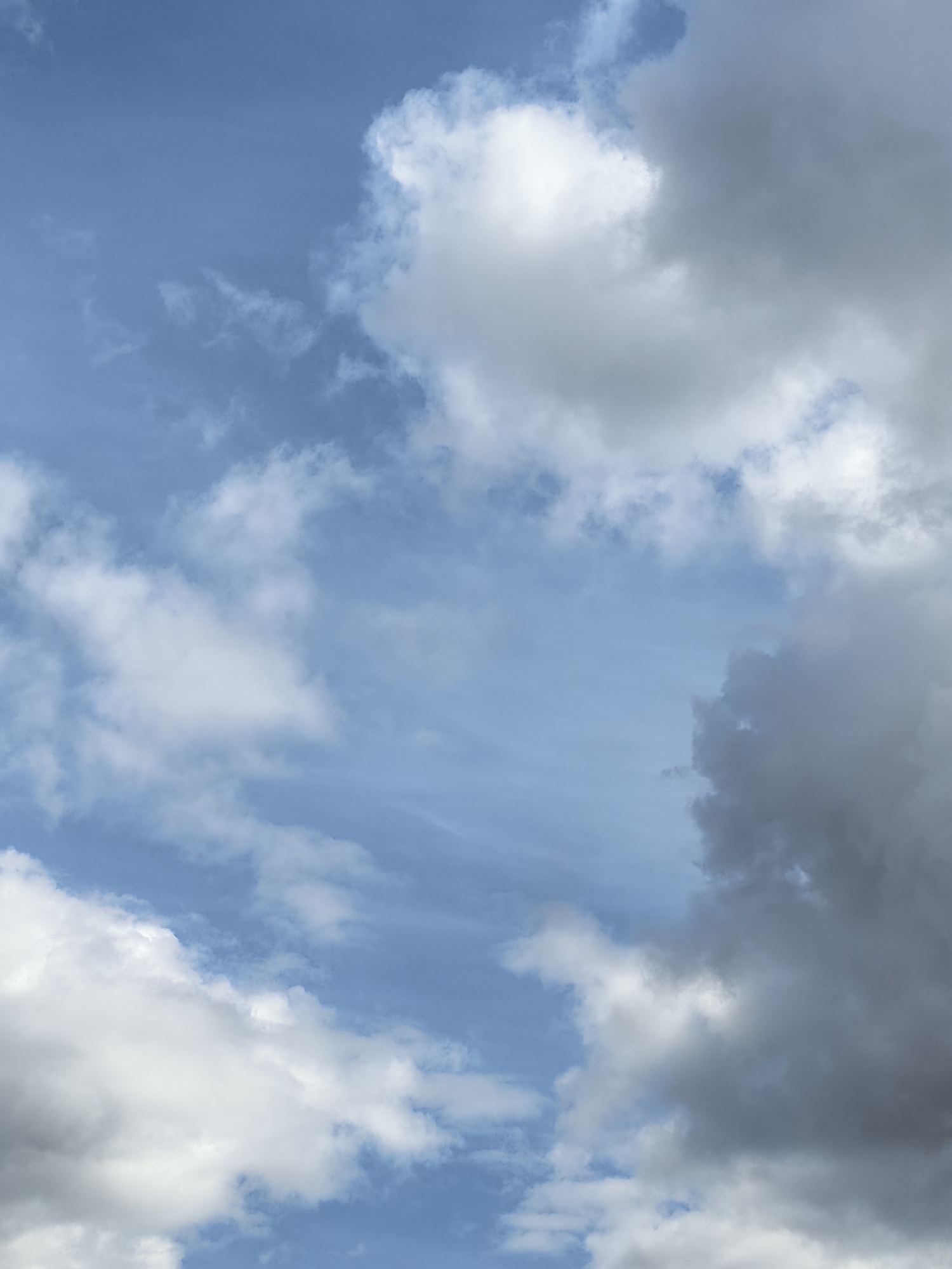The image depicts a dynamic sky with varying cloud formations against a clear blue backdrop. In the lower right quadrant, a large, dark cloud dominates, obscuring a significant portion of the sky. Towards the upper right, lighter, wispy clouds are visible, suggesting a transition in weather patterns. The central and upper left areas of the image are characterized by scattered white clouds, some appearing fluffy and others more diffused. The overall impression is one of movement and change in the atmospheric conditions. The location in the city of Krasnoyarsk, Russia, is not discernible from the visual elements present in the image.