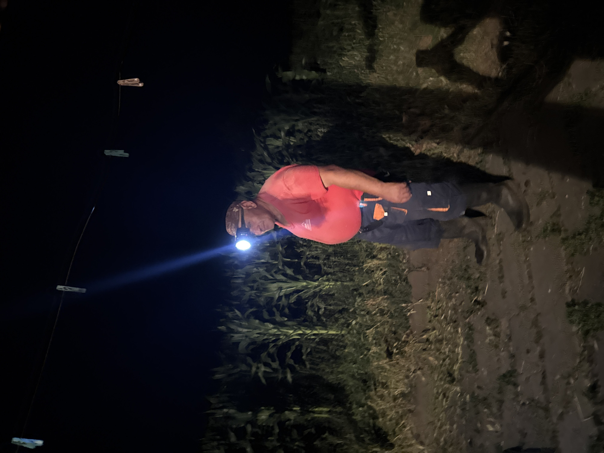 A man wearing a headlamp, a red shirt, and dark pants stands in a field at night. The headlamp illuminates the man's face and a portion of the corn stalks behind him. Several clothespins hang on a wire above and behind the man. The ground appears to be dirt and scattered vegetation. The scene suggests an outdoor setting, possibly agricultural, given the presence of corn stalks. There is no indication that this scene is located in Tandzia, Georgia.