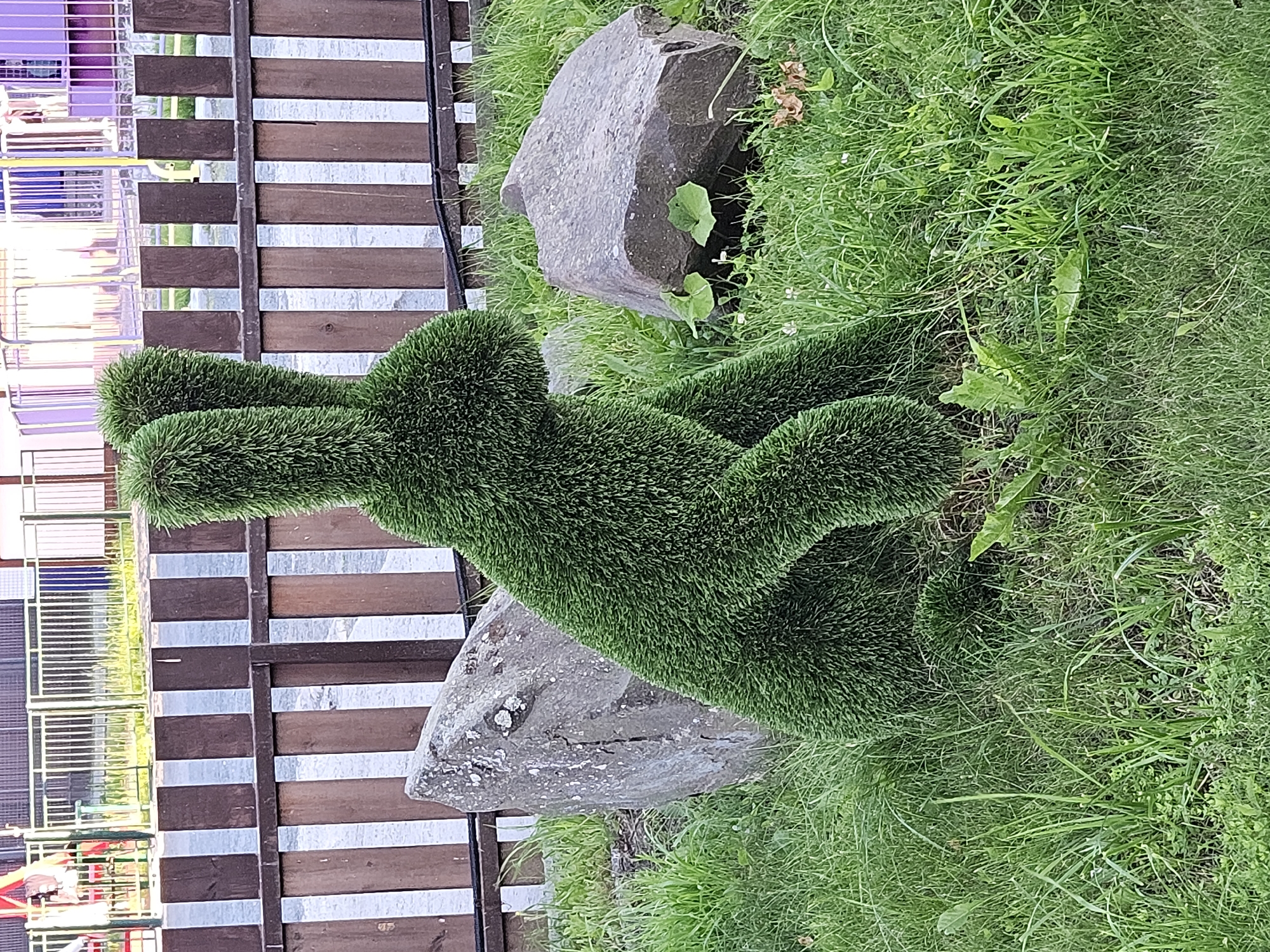 An outdoor medium shot captures a green, artificial topiary in the shape of a rabbit sitting amongst grass and rocks. The rabbit sculpture is green and fluffy, with two long, pointed ears standing upright. The rabbit is positioned in the foreground, with its body facing left and its head turned slightly to the right. To the left and right of the rabbit are two large, gray, rough-textured rocks. The ground around the rabbit and rocks is covered in lush green grass. Behind the rabbit and rocks, a wooden fence with vertical planks runs horizontally across the image. The fence is dark brown with lighter brown gaps between the planks. Beyond the fence, a blurry background shows playground equipment with various colored structures, including purple and yellow railings and some white and red elements. The overall scene appears to be a park or outdoor recreational area.