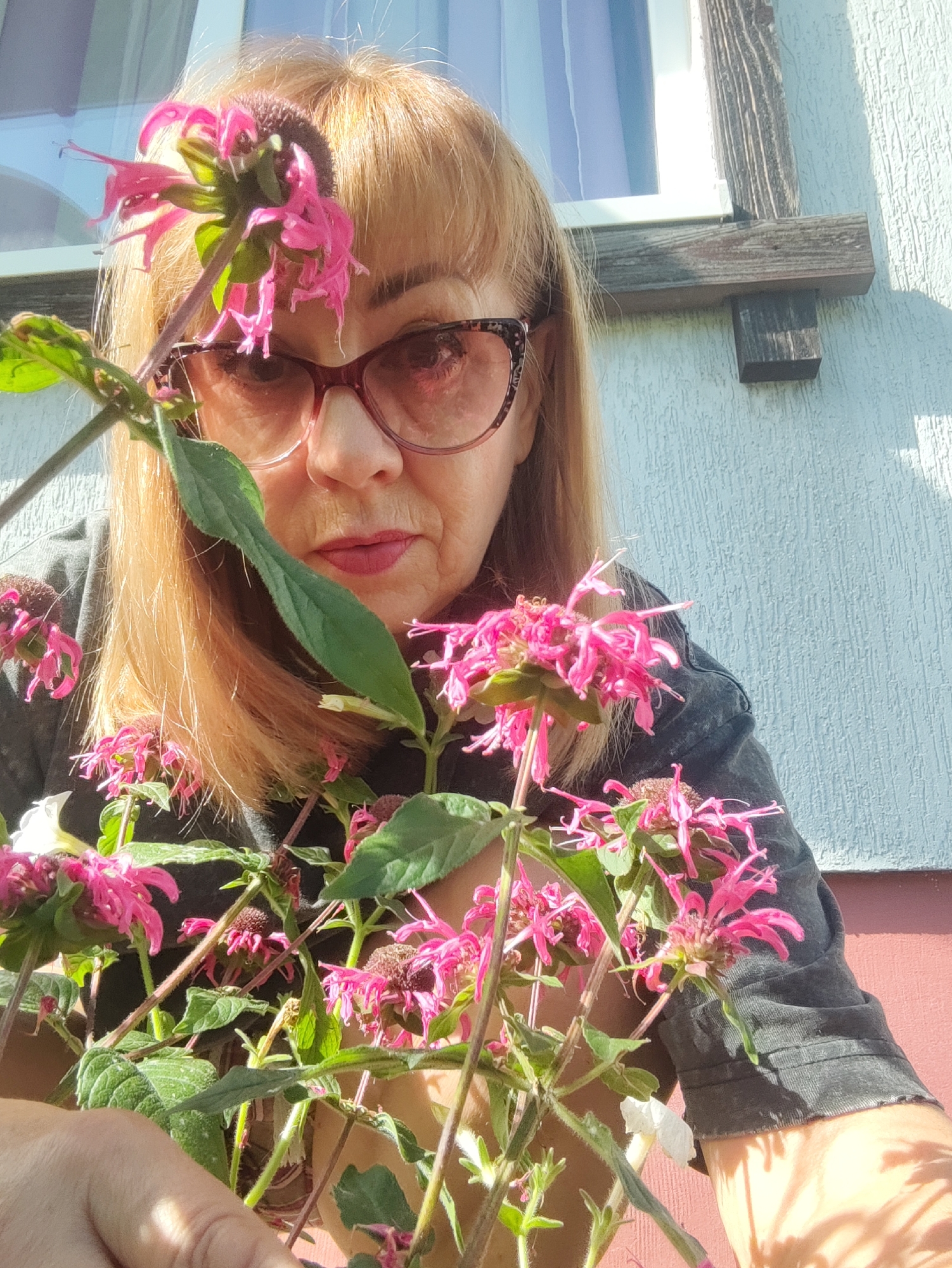 A blonde woman wearing glasses and a dark grey shirt is in the foreground of the image. She is holding a plant with pink flowers. The woman is outdoors, in front of a light blue textured wall and a wooden window frame. Sunlight casts shadows on the wall. The image does not contain enough information to determine the specific location within Gvardeysk, Russia.