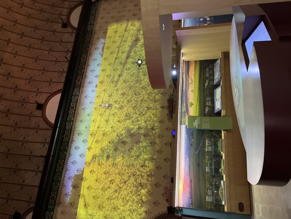 The scene depicts an interior view of an exhibition space within the Cité Internationale de la Gastronomie et du Vin (CIGV) in Dijon, France.
A high, vaulted ceiling with repeating floral motifs is visible above. Below this, the upper portion of a large wall displays a projected image of an expansive, bright yellow field, likely rapeseed, under a light blue sky. A lone individual, seen from behind in light clothing, walks away into the distance across the field. This projection is superimposed over the wall's inherent light-colored pattern of repeating fleur-de-lis symbols. A black spotlight projector is positioned on a raised, curved wooden platform to the right, casting light onto the main wall.
Below the main projection, a horizontal exhibition structure is present. It features backlit panels with panoramic landscape photographs, including a sunset over rolling green hills and vineyards on the left. Text in French, such as "Le ciel, la terre les hommes," is visible on a vertical green panel. Below these panels, multiple recessed display cases contain miniature landscape models or exhibits. In the foreground, a large, irregularly shaped interactive table or counter with dark edges and a light surface occupies the lower right, featuring a glowing display section. The overall lighting is subdued, highlighting the projections and exhibition elements.