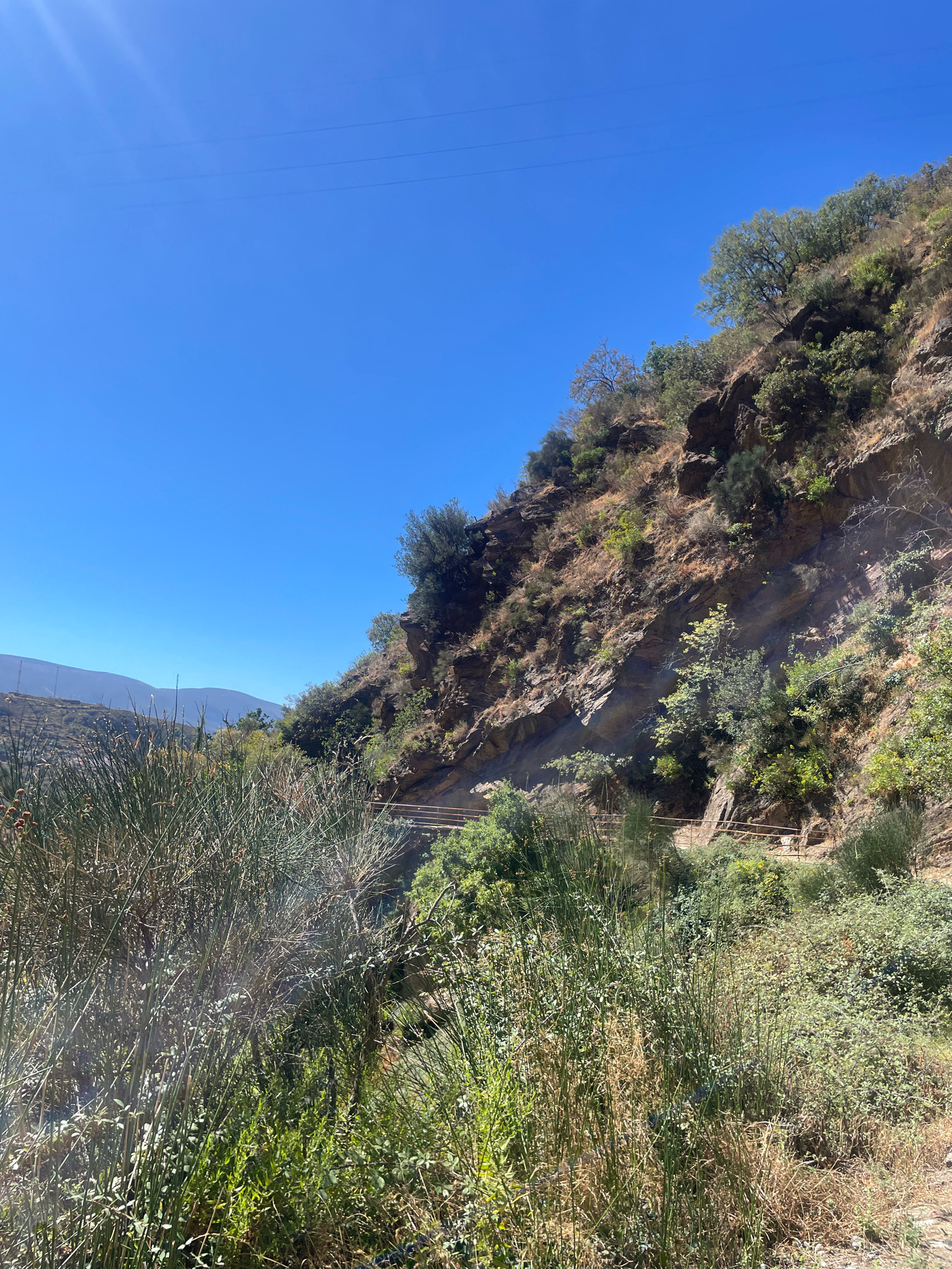 The image depicts a natural landscape with a steep, rocky mountainside covered in vegetation under a clear blue sky. In the foreground, tall, reedy grasses and other low-lying green plants dominate the scene, with some dried brown vegetation interspersed. A path or road with a simple railing is visible winding up the mountainside, partially obscured by foliage. The mountainside itself is a mix of exposed rock and scrubby bushes, with a few trees growing at higher elevations. In the distance, rolling hills and mountains are visible, also sparsely vegetated. The scene suggests a rural or mountainous environment in or around Lanjarón, Spain, likely a hiking trail or scenic overlook. There are no people or animals present in the image. The overall impression is one of rugged natural beauty under bright sunlight.