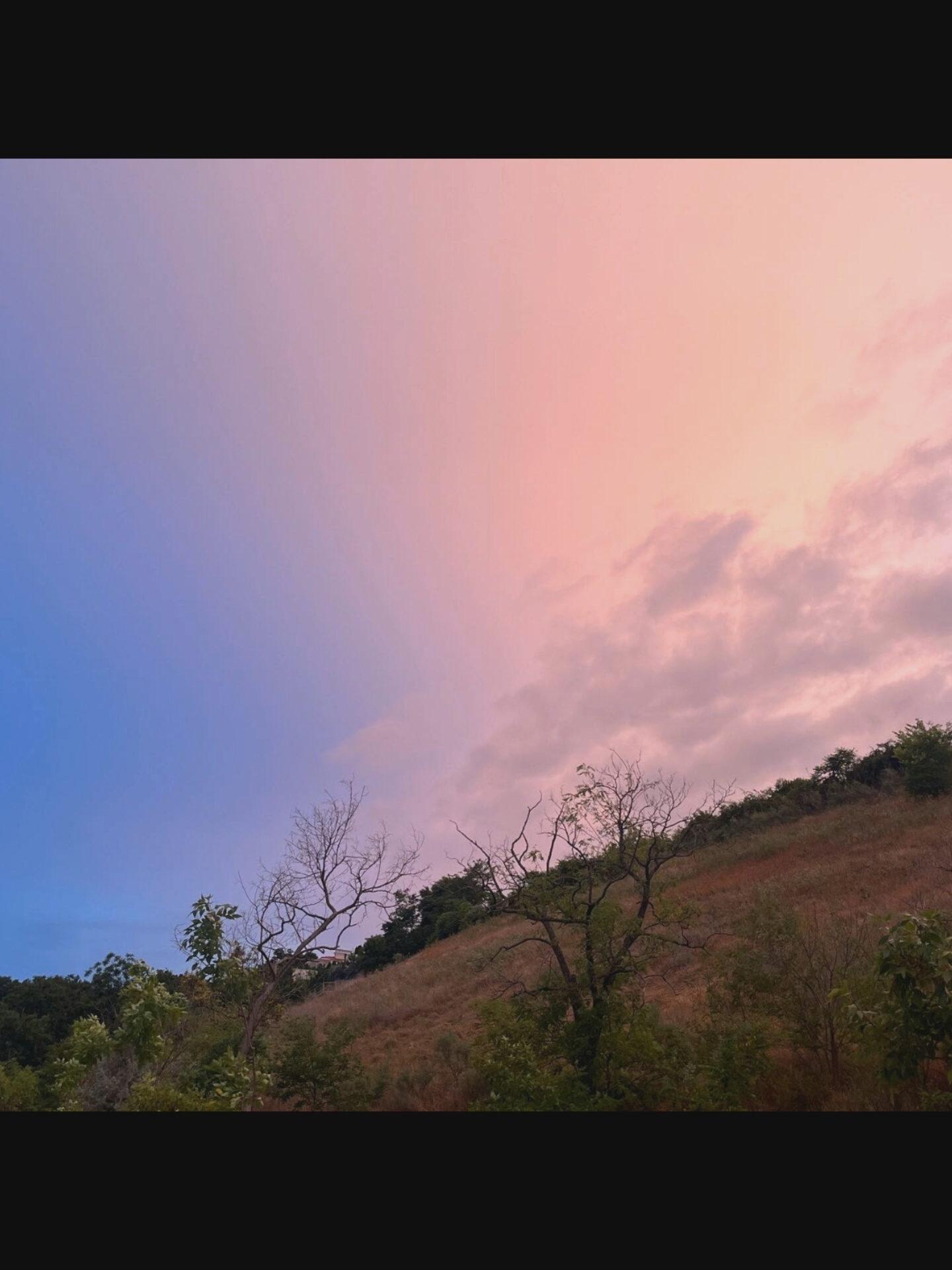 The image depicts a rural landscape with a gradient sky. The left side of the sky is a deep blue, transitioning to a soft pink and orange on the right, suggesting either sunrise or sunset. A dry, bare tree stands prominently in the foreground on the left side of a sloped, grassy hill. The hill is covered in dry, brown vegetation and sparse green foliage, with denser green trees lining the crest and extending down the left side of the image. The overall scene is serene and natural, devoid of human presence or any identifiable structures, placing it in a natural environment outside of a city, and therefore not in Saint-Août, France.