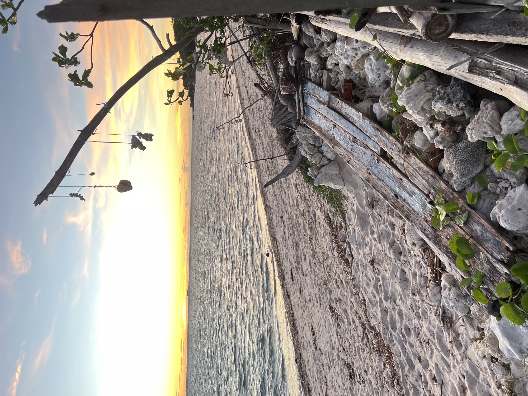 The image captures a serene beach scene at sunset on Koh Phangan, Thailand. The sky is painted with soft hues of orange and yellow, transitioning into a pale blue as the sun dips below the horizon, casting a warm glow over the tranquil ocean. Gentle waves lap against the sandy shore, leaving a glistening, wet edge.
In the foreground, a weathered wooden structure, possibly part of an old pier or boat, lies partially buried in the sand. It is adorned with scattered rocks and pieces of coral, adding to the rustic charm of the location. A tree branch, extending from the left, is decorated with several hanging objects, adding a whimsical touch to the natural scenery. Green foliage from nearby plants climbs over the debris, showcasing nature's persistent beauty.
The image evokes a sense of peace and tranquility, typical of a tropical sunset. The soft lighting and calm atmosphere suggest a quiet, reflective moment. No people are visible in the frame, emphasizing the solitude of the beach. The overall scene is one of natural beauty and subtle decay, harmoniously coexisting on a tropical coastline.