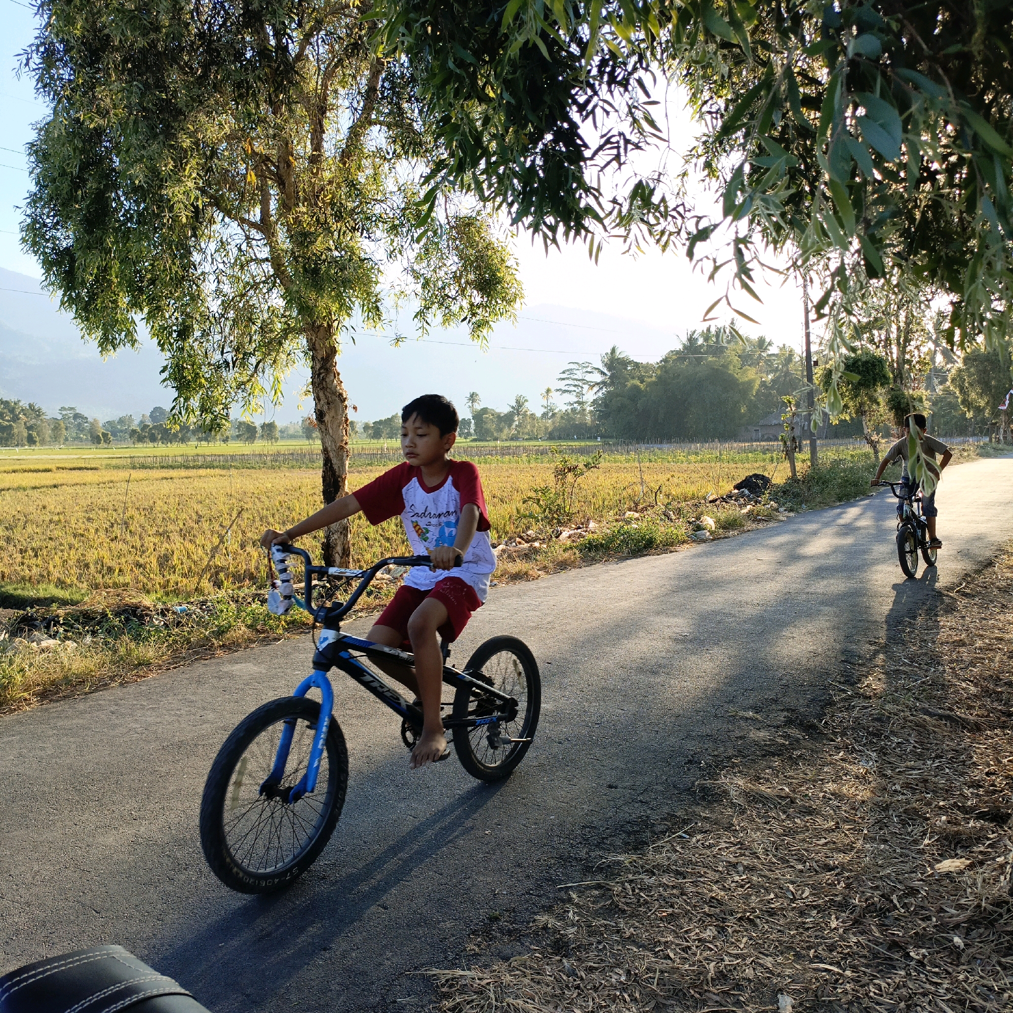 In Rowosari, Indonesia, a young boy rides a BMX bicycle down an asphalt road. The boy wears a white t-shirt with red sleeves and red shorts. He is in focus and positioned in the foreground, with his hands on the handlebars and his feet on the pedals. The bicycle is blue and black. Further down the road, another boy rides a bicycle, appearing smaller in the frame and slightly out of focus.
The environment is rural, with a field of dry, golden crops bordering the road on the left. Trees line the background, some with lush green leaves and others bare. In the distance, mountains are visible under a bright sky, suggesting it is either early morning or late afternoon, given the warm, slanted sunlight that casts long shadows across the road and illuminates the trees. The scene suggests a peaceful, everyday activity in a semi-rural setting.