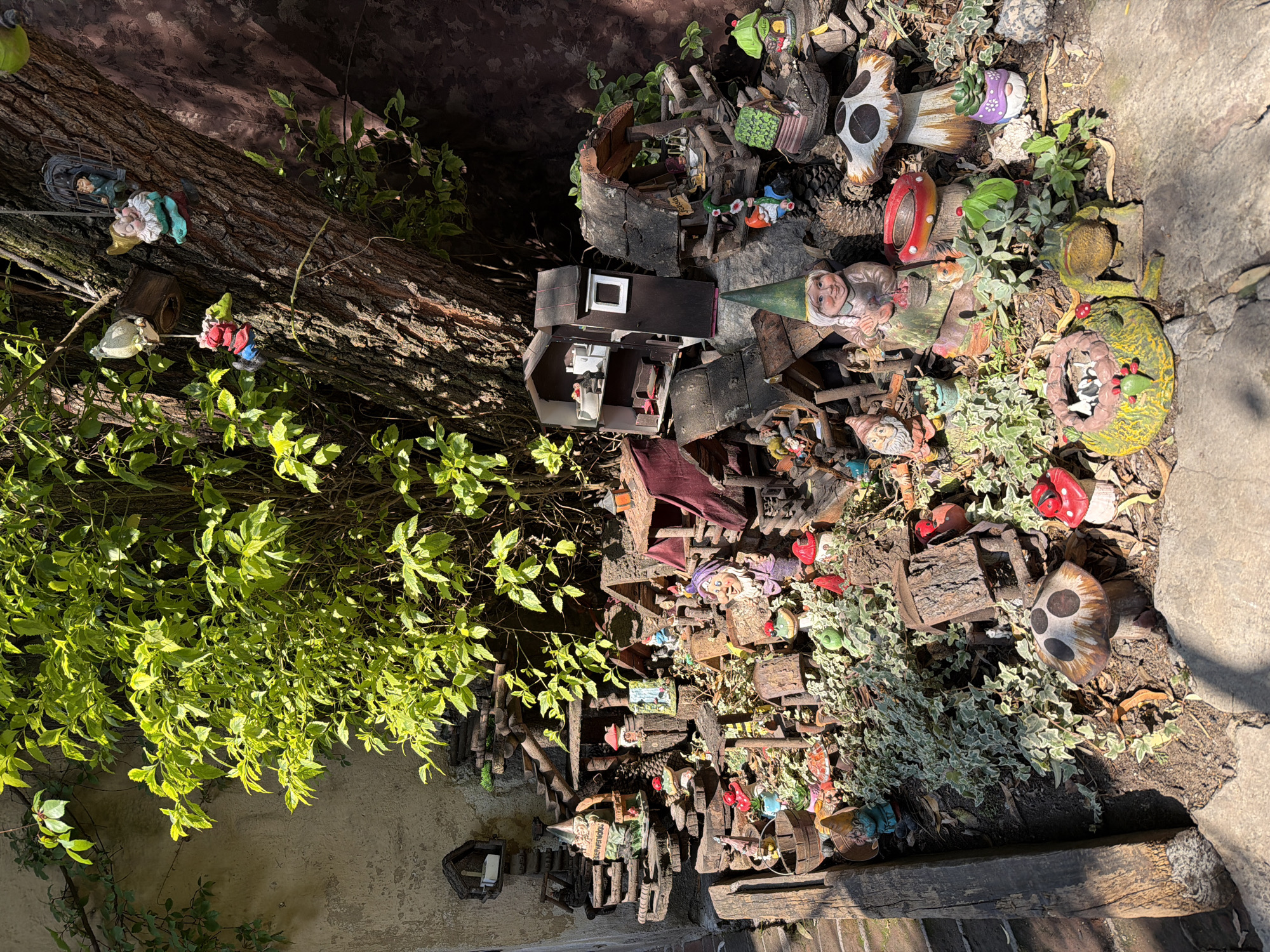 The image depicts a whimsical garden display in Domingo Arenas, Mexico. The scene features an assortment of garden gnomes and miniature structures, including a multi-level miniature home with visible interior details. There are also ceramic mushrooms and various small objects placed amidst greenery, including low-lying shrubs and climbing vines. A tree trunk is visible to the left. The composition is arranged in a somewhat haphazard manner, suggesting a playful and imaginative design. The environment appears sunny, with shadows cast across the scene.