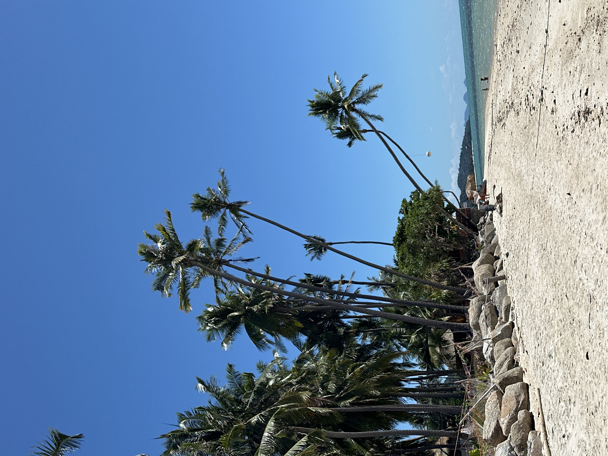 This media file captures a serene tropical beach scene in Baan Tai, Thailand. The foreground is dominated by a sandy path and a low stone wall, with a dense cluster of lush green palm trees to the left. The palm trees, with their characteristic fronds, are tall and slender, some leaning precariously as they reach towards the clear blue sky.
In the distance, the turquoise waters of the ocean meet the horizon, with faint outlines of mountains visible. The water is calm, reflecting the bright blue sky. A few small figures, likely people, are visible on the sandy beach, enjoying the tranquil environment. One individual appears to be walking along the shoreline, while another stands near the water's edge. A white spherical object, possibly a buoy or a ball, is suspended on a thin wire among the palm trees, adding a whimsical touch to the scene.
The time of day appears to be midday, indicated by the bright sunlight and the clear, cloudless sky. The weather is sunny and warm, characteristic of a tropical destination. The overall mood is one of peace and relaxation, inviting the viewer to imagine themselves on this beautiful beach. There is no visible text in the image.