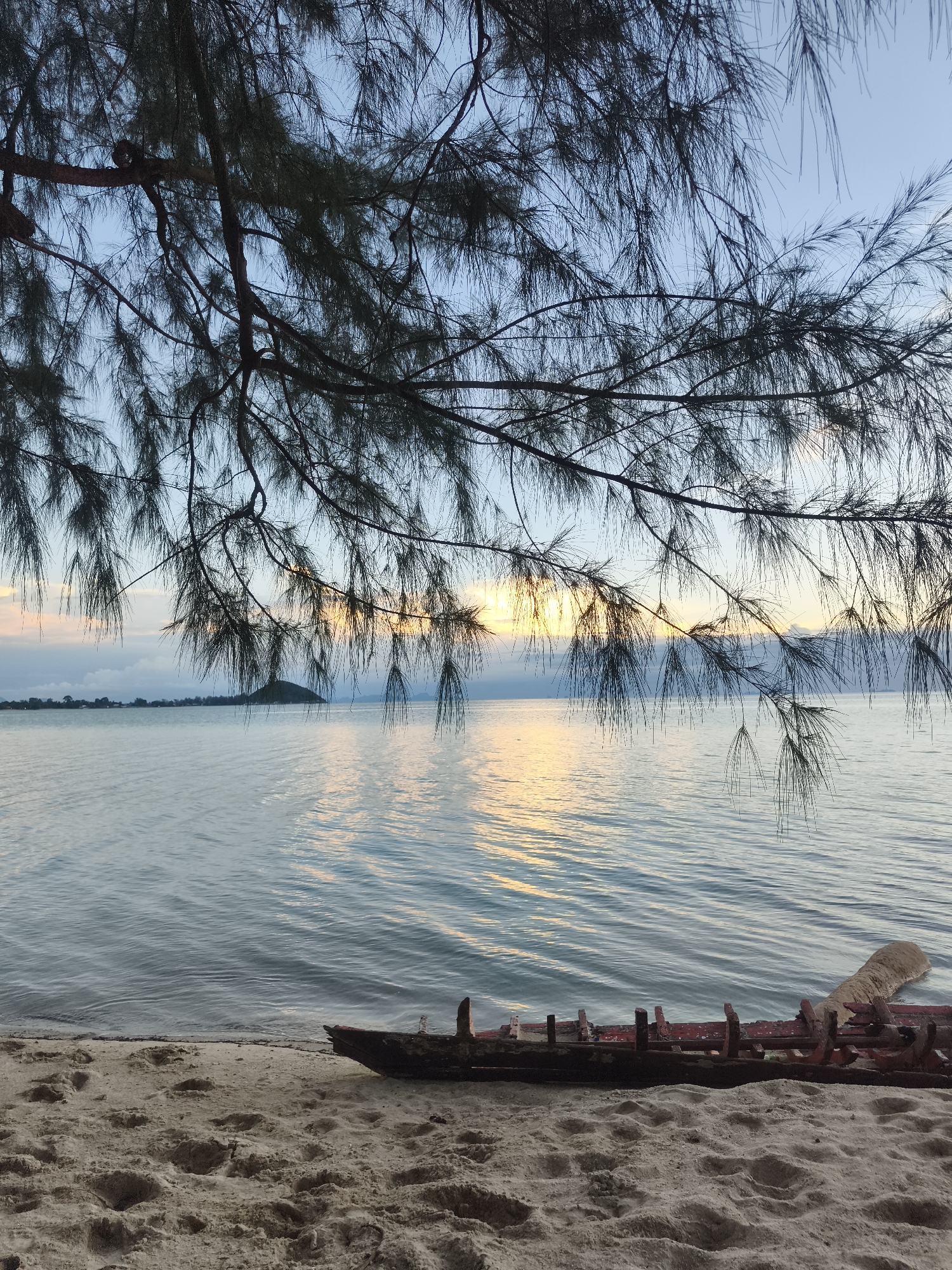 An upward-angled, vertical, medium shot captures a serene beach scene at Baan Lipa Noi, Thailand. The foreground is dominated by textured, light-colored sand, showing subtle footprints. Partially submerged in the shallow, calm water at the edge of the sand is the decaying hull of a red wooden boat. In the mid-ground, the tranquil sea stretches out to the horizon, reflecting the soft hues of the setting sun, casting a golden glow across its surface. A small, tree-covered island is visible on the left horizon, with a faint outline of land and mountains beyond it. The upper portion of the image is framed by the dark, feathery branches of a pine-like tree, with its needles creating a delicate silhouette against the pale blue and orange sky. The overall atmosphere is peaceful and natural.
