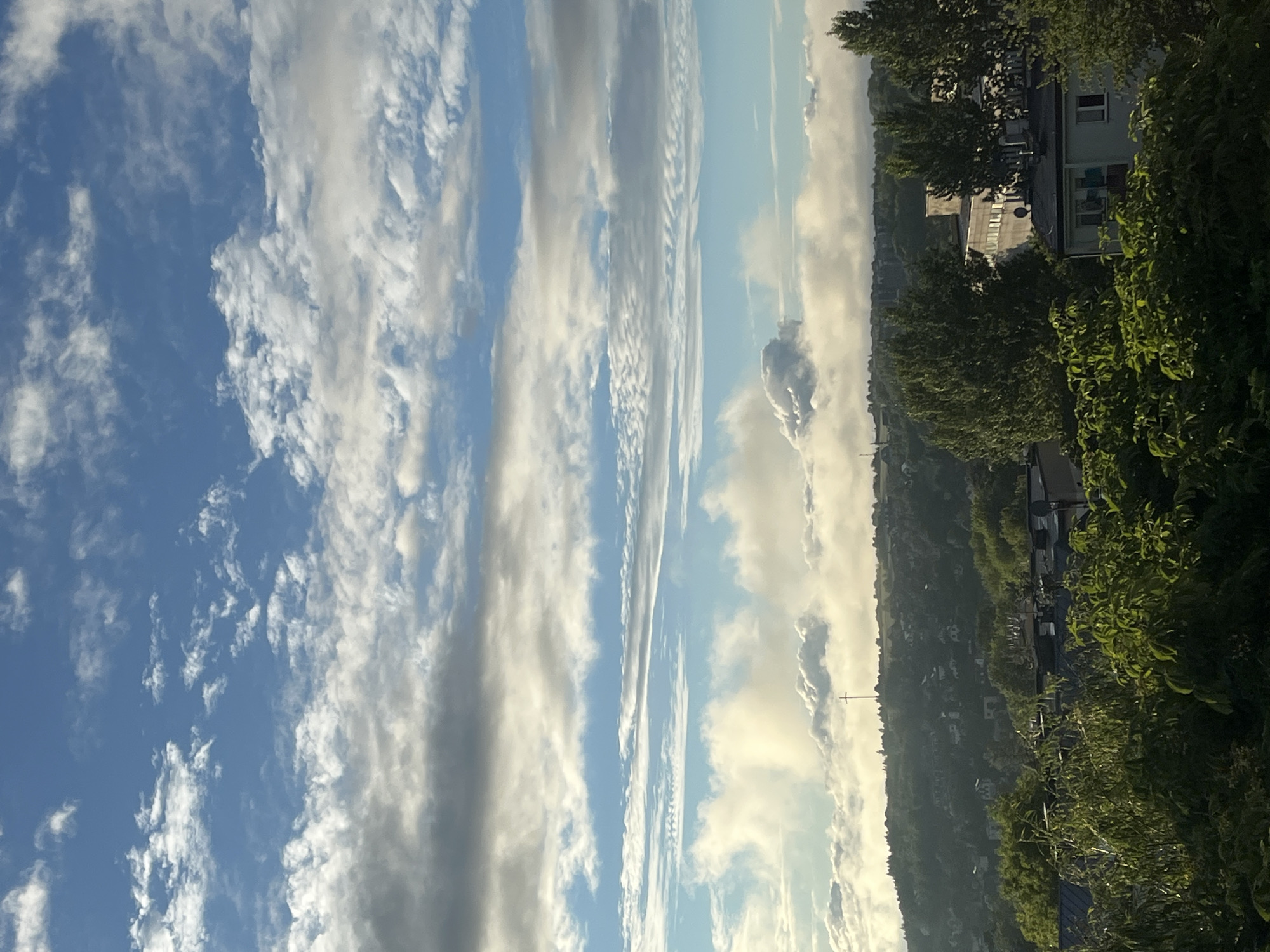 The image presents a panoramic outdoor view of an urbanized landscape with prominent natural elements, under a partly cloudy sky. The upper two-thirds of the frame are dominated by a vast sky exhibiting various cloud formations, from wispy cirrus-like clouds in the blue upper regions to denser, white and grey stratocumulus layers at mid-altitudes, and a thick band of brightly illuminated, low-lying cumulus clouds or fog obscuring the distant horizon.
Below the low-lying clouds, a verdant, undulating hillside covered in dense tree foliage is visible, interspersed with scattered residential buildings featuring light-colored walls and dark roofs. A tall, slender dark cross structure is prominently situated on a distant hilltop, partially silhouetted against the bright clouds. The lower third of the image shows a closer view of the immediate foreground and midground, comprising lush green trees and bushes with dense foliage, vibrant in sunlight. Behind this vegetation, several urban structures are discernible, including a multi-story building with a flat roof and numerous windows, and another residential building with a dark-tiled roof and white walls. The scene is well-lit by natural sunlight, creating distinct highlights on the clouds and vegetation. No individuals are present in the image. The location is an unknown city in an unknown country.