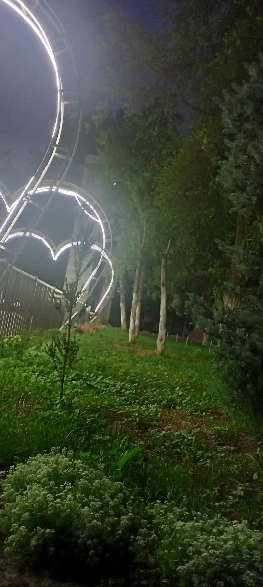 This image captures a nighttime scene with decorative heart-shaped lights in the foreground, likely a park or public area in Sokuluk, Kyrgyzstan. The lights are illuminated, creating a bright contrast against the dark sky and surrounding trees. A fence is visible behind the lights, and a path or cleared area runs through the grassy foreground. Several trees are scattered throughout the scene, with one prominent evergreen tree on the right side. The ground is covered in grass and some smaller flowering plants. The overall impression is one of a well-lit, outdoor recreational space at night.