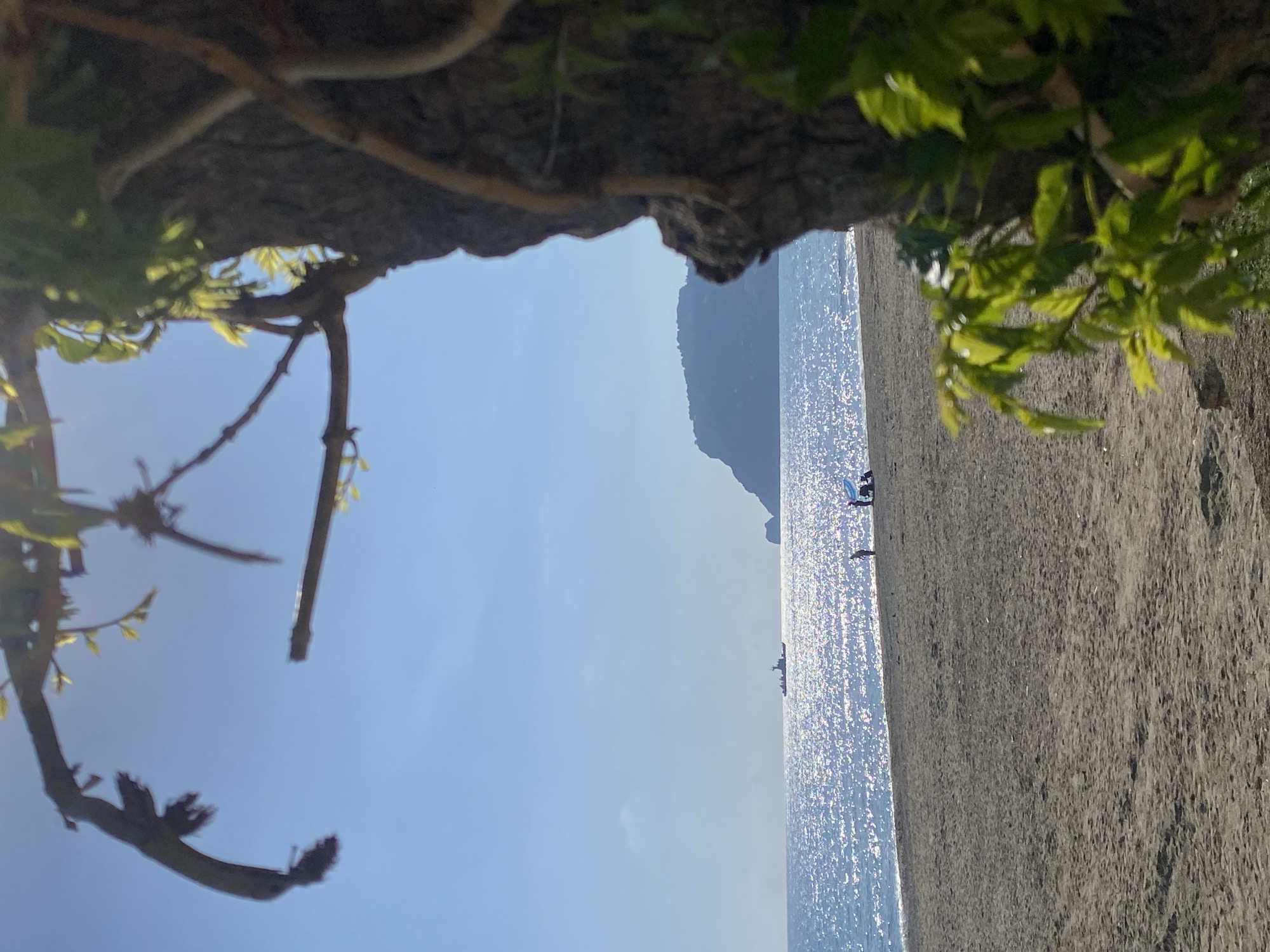 The image is a partially obstructed view of a beach, likely in Alanya, Turkey. The foreground is dominated by tree branches and leaves forming a natural frame, partially obscuring the view. Beyond the foliage, there is a sandy beach that meets the ocean. The water surface is bright with sunlight reflecting off it. In the distance, there's a mountainous landscape. There appear to be a few people on the beach. There are also some other objects that are indiscernible. The sky is blue, adding to the scene's brightness. The lighting suggests it's a sunny day.