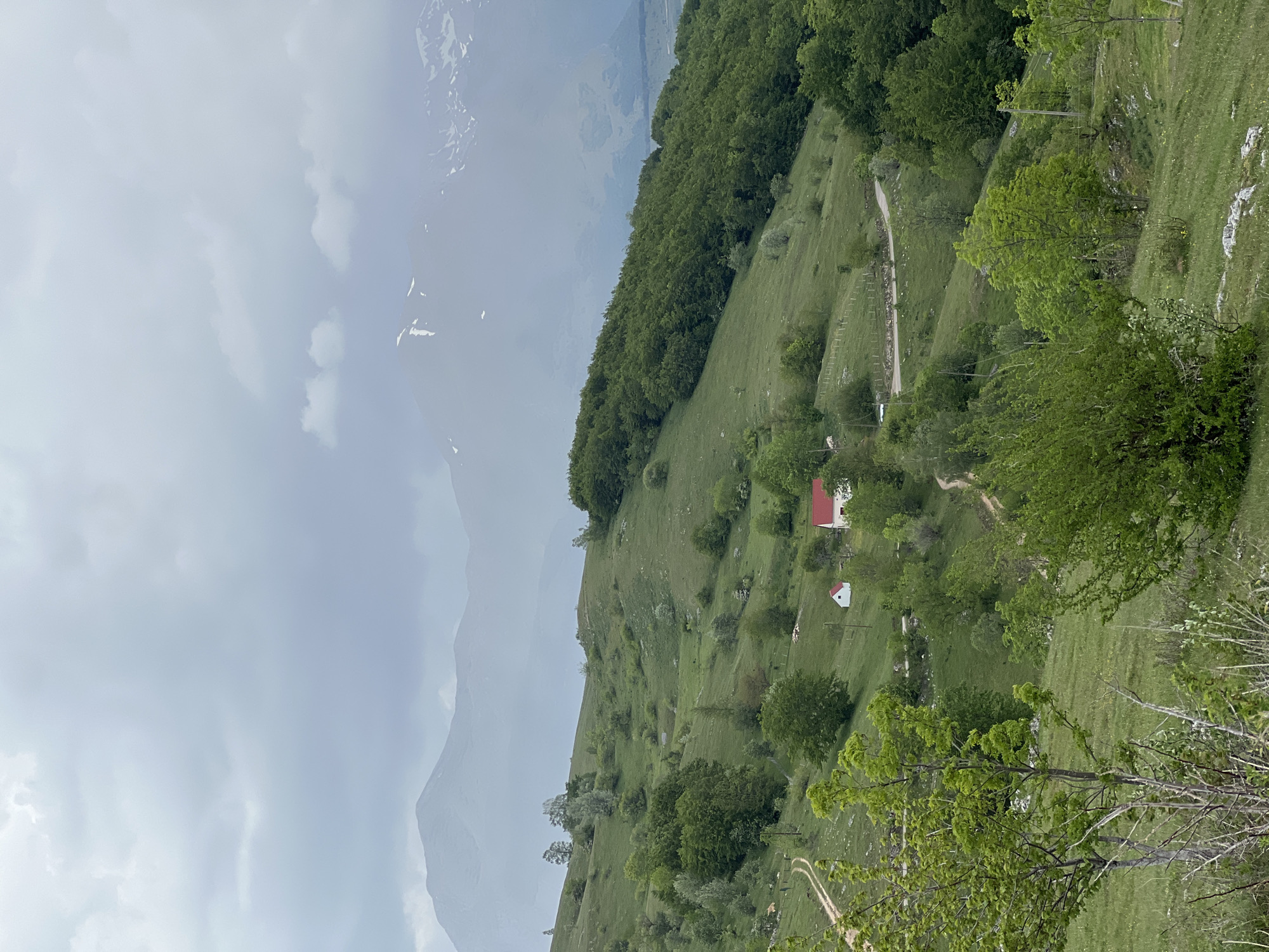 The scene shows a hillside in Pišče, Montenegro under overcast skies. Lush green vegetation covers the slope, dotted with trees and a line of dense forest along the upper edge. A dirt track winds up the hillside. Two small structures are visible, one with a red roof and another with a white roof, nestled into the terrain. In the distance, mountain peaks fade into the cloudy sky.