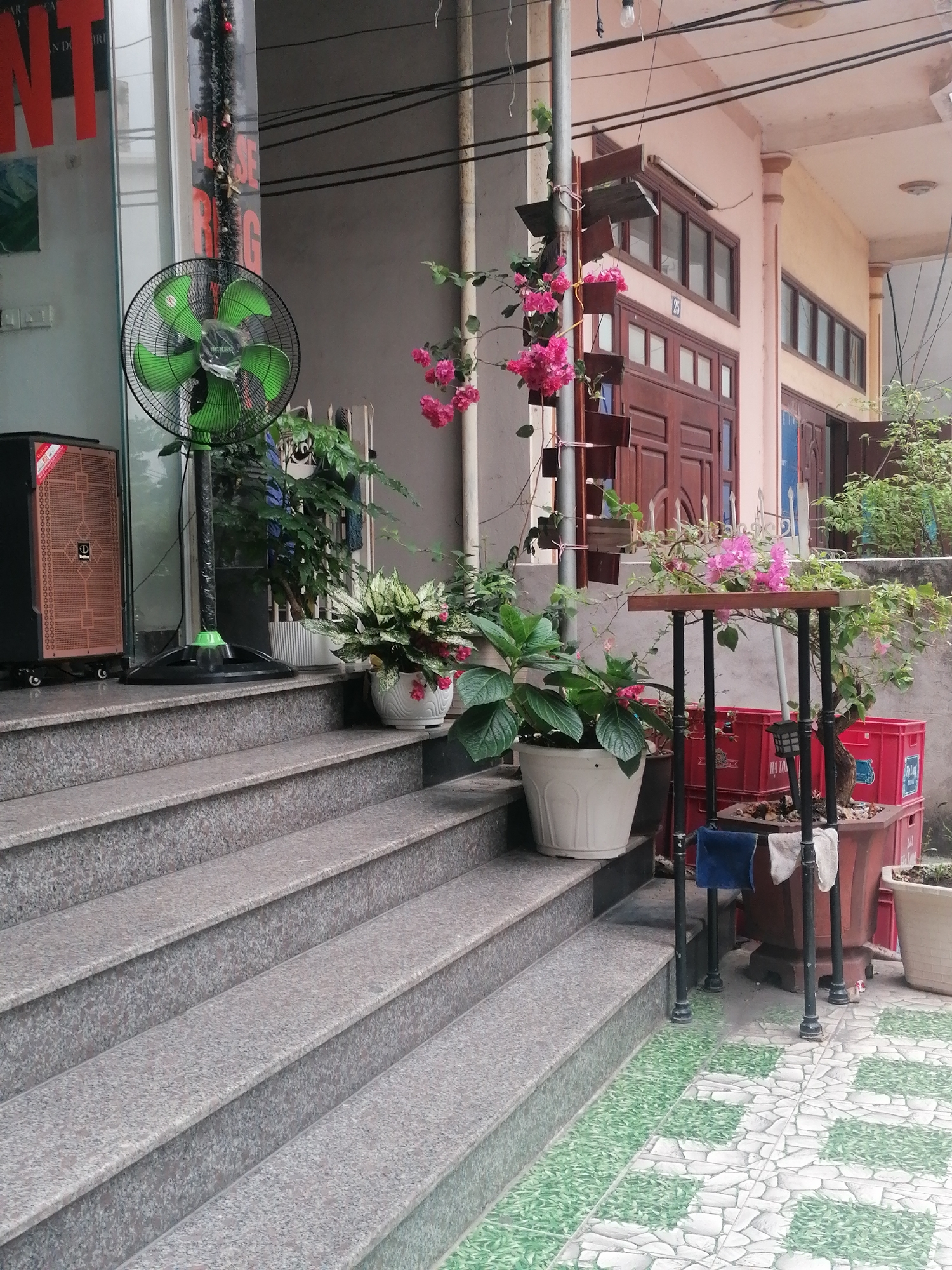 A street-level view of a building's entrance in Bai Chay Ward, Vietnam. The entrance consists of gray granite steps leading up to a building. A large green fan stands to the left of the steps. Potted plants of various sizes and types are arranged on the steps and in front of them. A small black table with a potted plant on top stands on the tiled surface to the right of the steps. Behind the table are stacks of red plastic crates. A pink flowering vine climbs up a metal pole near the steps. The building itself is painted in light tones and features wooden doors and windows. Power lines are visible overhead.