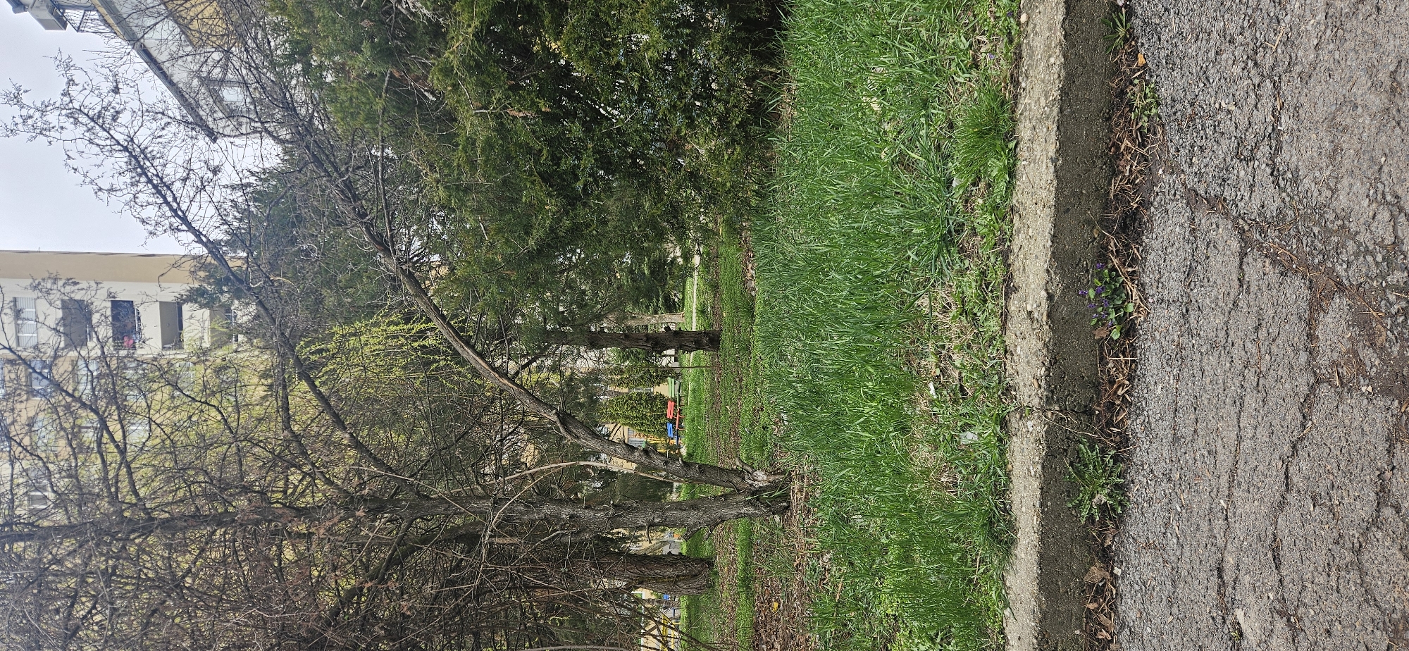 The image shows a park scene in Sofia, Bulgaria. The view is from a low angle along a cracked asphalt path, lined by a concrete curb and a strip of dense green grass. Beyond the grass, there's a row of deciduous trees with sparse foliage, suggesting early spring, and taller evergreen trees. A multistory apartment building is visible in the background, partially obscured by the trees. In the mid-ground, colorful playground equipment can be seen. The sky appears overcast. There are no people visible in the image.