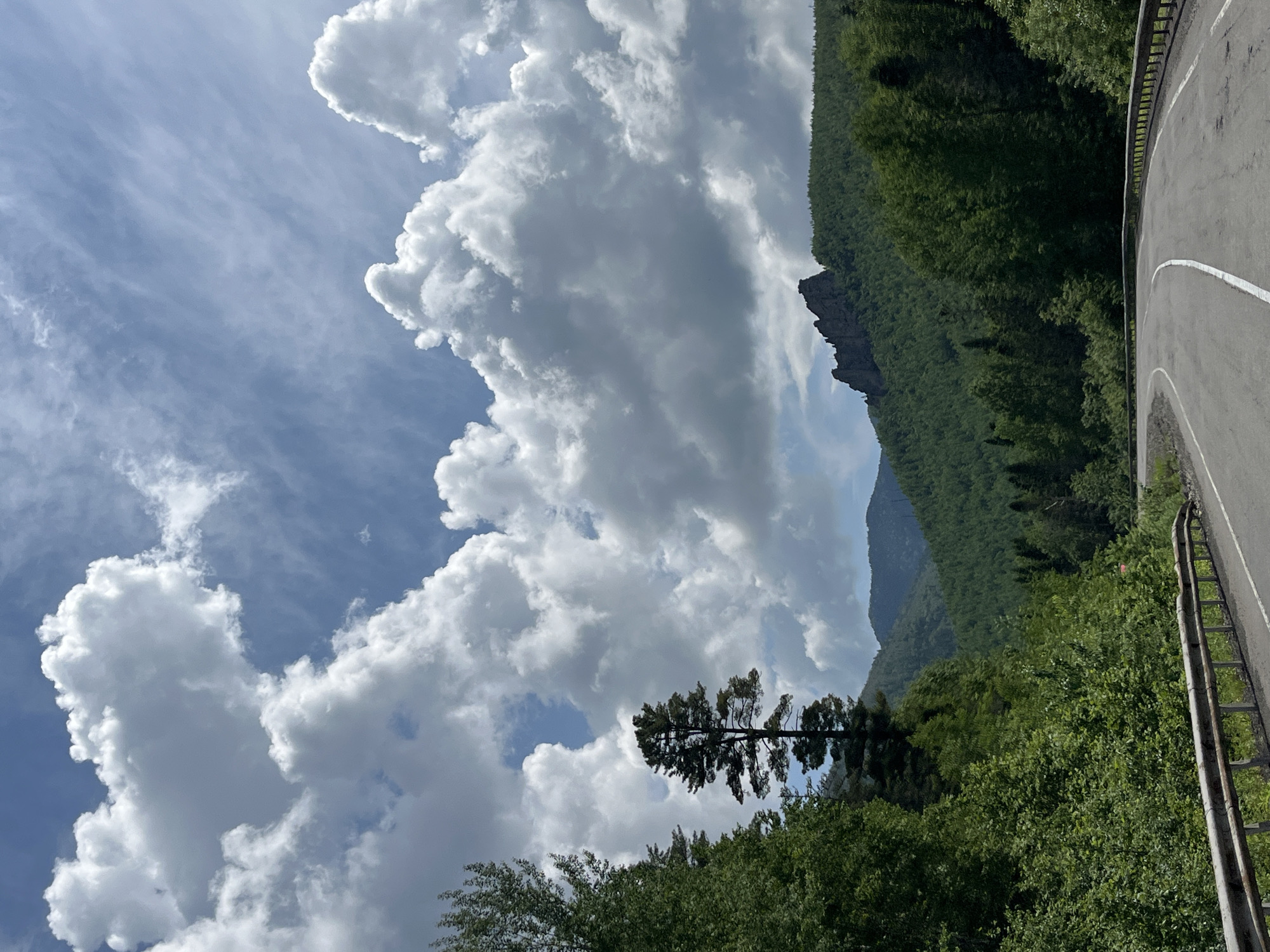 A scenic view of a mountain road on a partly cloudy day. A grey asphalt road curves to the right, bordered by a metal guardrail on the right side. Dense green trees cover the slopes of a mountain on the left, with a prominent rock formation jutting out from the mountainside. The sky is a vibrant blue with dramatic, white cumulus clouds filling a large portion of the frame, creating a dynamic contrast. A single, dark silhouette of a tree stands against the clouds in the mid-ground. The image appears to be taken in a mountainous, forested region, likely during daylight hours, given the bright sky and the presence of shadows. The overall mood is serene and awe-inspiring, capturing the beauty of nature. No text is visible in the image.