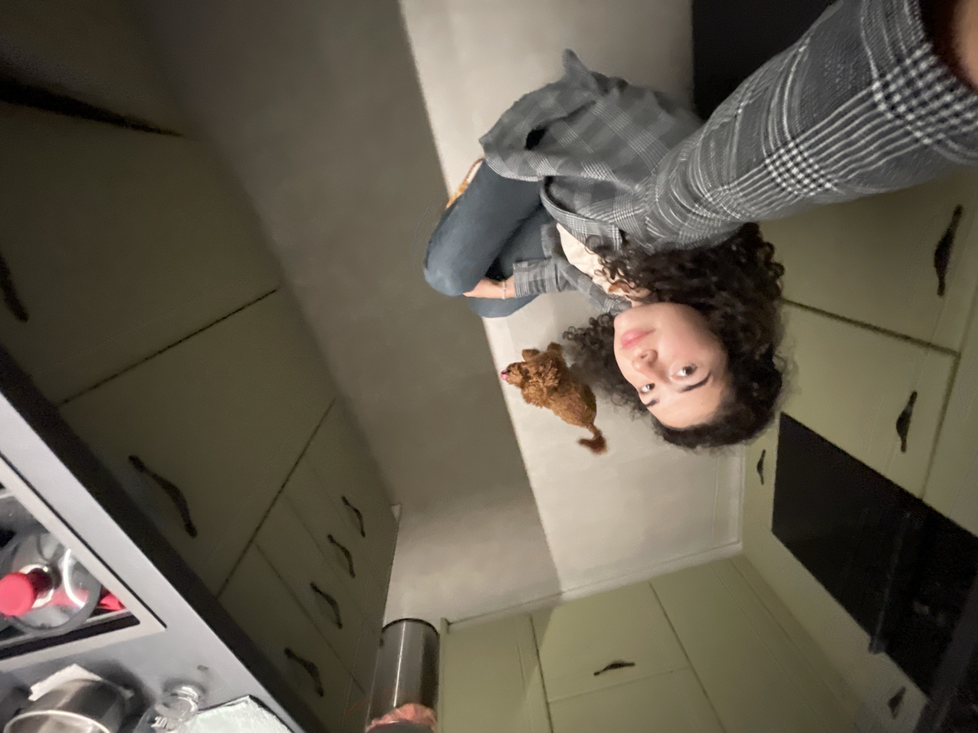 This image, provided with a context of Sofia, Bulgaria, captures a young woman and a small dog in an indoor domestic setting, likely a kitchen. The photograph is taken from a low-angle perspective, looking upwards, and is notably rotated counter-clockwise.
The primary subjects are a young woman and a small, reddish-brown dog. The woman, positioned in the middle-right of the frame, has dark, curly hair and is looking towards the camera with a neutral to slightly smiling expression. She is dressed in a grey and white plaid jacket worn over a lighter top, paired with dark blue jeans. She appears to be seated or crouching on a light-colored floor. Resting near her, the small dog, possibly a poodle or doodle, also looks towards the camera with its tongue slightly extended.
The background clearly depicts kitchen elements. Light-colored cabinets or cupboards with dark, curved handles are visible on both the left and right sides of the frame. In the bottom-left corner, a dark countertop holds various kitchen items, including a silver pot or bowl and a clear bottle with a red cap. A tall, cylindrical silver object, possibly a blender or beverage container, is also present. On the right wall, a dark rectangular screen, likely a microwave or oven display, is mounted.
The activity appears to be a casual indoor moment, possibly a selfie or a captured interaction between the woman and her pet. The lighting is artificial, suggesting an indoor setting without direct daylight, and casts some shadows within the room. There is no visible text in the image.
