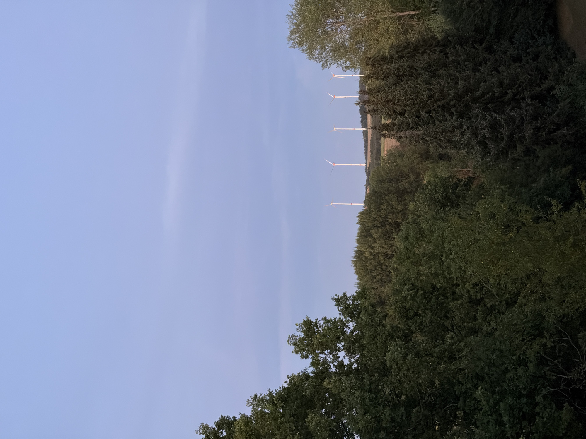The image depicts a landscape scene in Creußen, Germany, at dusk. In the foreground, a dense forest of various trees, primarily deciduous and coniferous, fills the lower portion of the frame. The trees are lush and dark green, suggesting a temperate climate. Beyond the forest, a rolling landscape is visible with fields and more scattered trees. In the distance, silhouetted against the pale blue, twilight sky, are several wind turbines, standing tall on a ridge. Their white structures with red accents are clearly discernible. The sky is a soft gradient of blue, transitioning to a lighter hue near the horizon, indicating the end of daylight. There are no people or animals visible in the image. The overall atmosphere is serene and quiet, characteristic of the countryside at twilight.