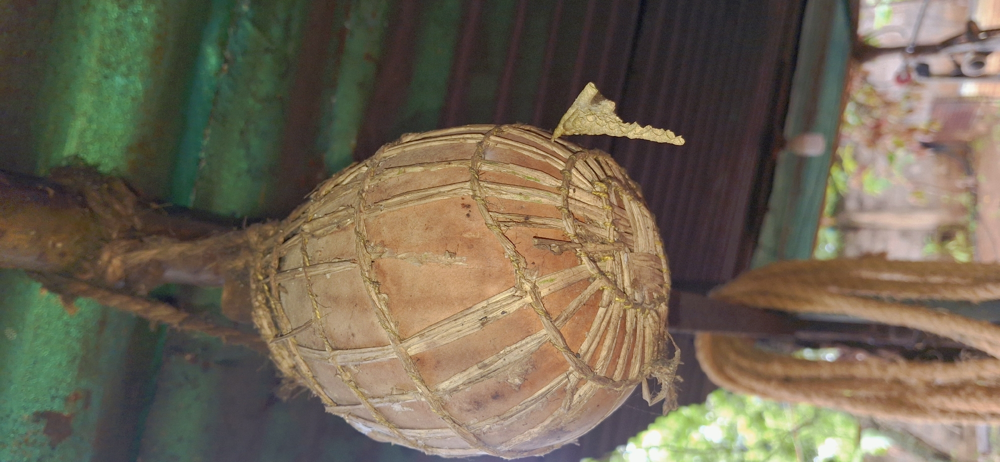 The image shows a close-up of a round, terracotta-colored object, possibly a pot or a gourd, suspended by a thick, rough rope from a weathered green corrugated metal roof. The object is wrapped in a crisscross pattern of lighter-colored, dry plant material, possibly reeds or straw, tied with twine. A small, light-colored, textured piece of material, possibly dried mud or a wasp's nest, is attached to the bottom right side of the wrapped object. In the background, out of focus, is another thick rope hanging vertically, a wooden support beam, and greenery suggesting an outdoor or semi-outdoor environment. The lighting is diffused, indicating an overcast day or shade. The setting appears to be an outdoor structure. It is not possible to determine the specific location within Vallecito, Venezuela from the provided image.