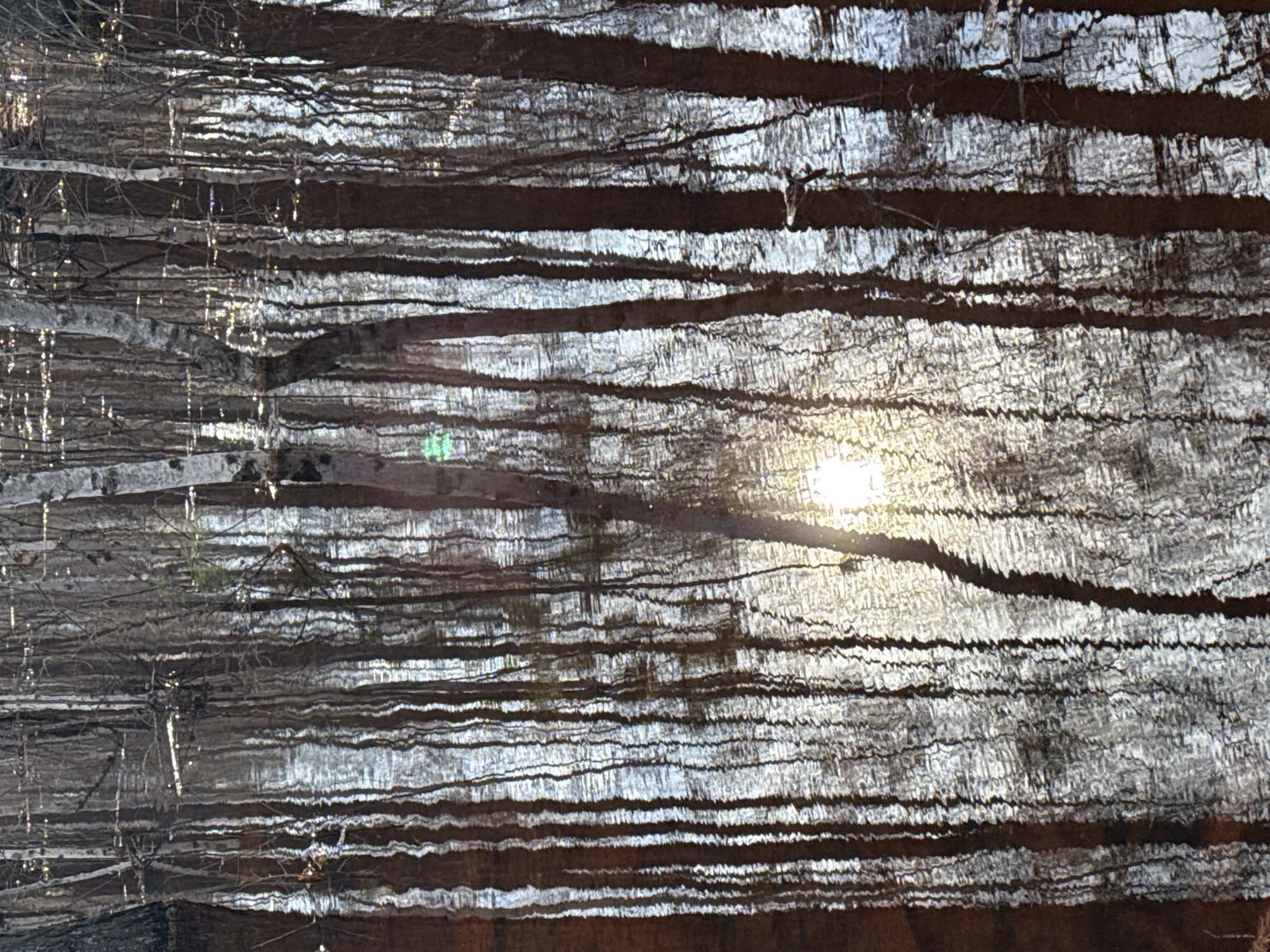 The image depicts a reflection of trees and the sun in water. The scene is likely taken near or in the city of Mirny, Russia given the provided context. The reflection creates a pattern of horizontal lines of varying widths and tones. The sun is visible as a bright spot in the center of the image. Trees and branches are reflected as dark vertical shapes. The water is blurred.