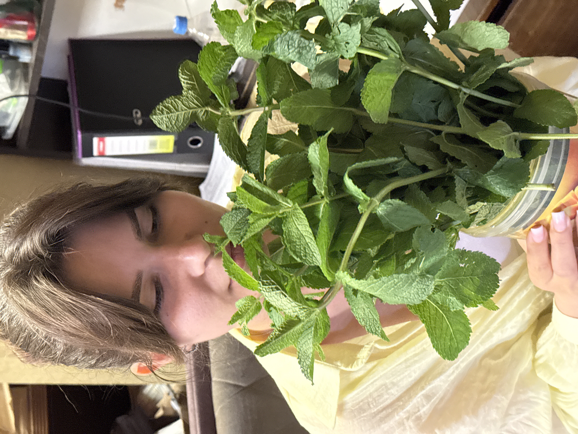 In an indoor setting, a young woman with brown hair pulled back is holding a bunch of fresh mint. She is wearing a light yellow blouse and is leaning forward, smelling the mint. The background shows a shelf with office supplies, including a black binder and a bottle of water. A portion of a brown upholstered chair is visible to the left. The scene is lit by artificial light.
