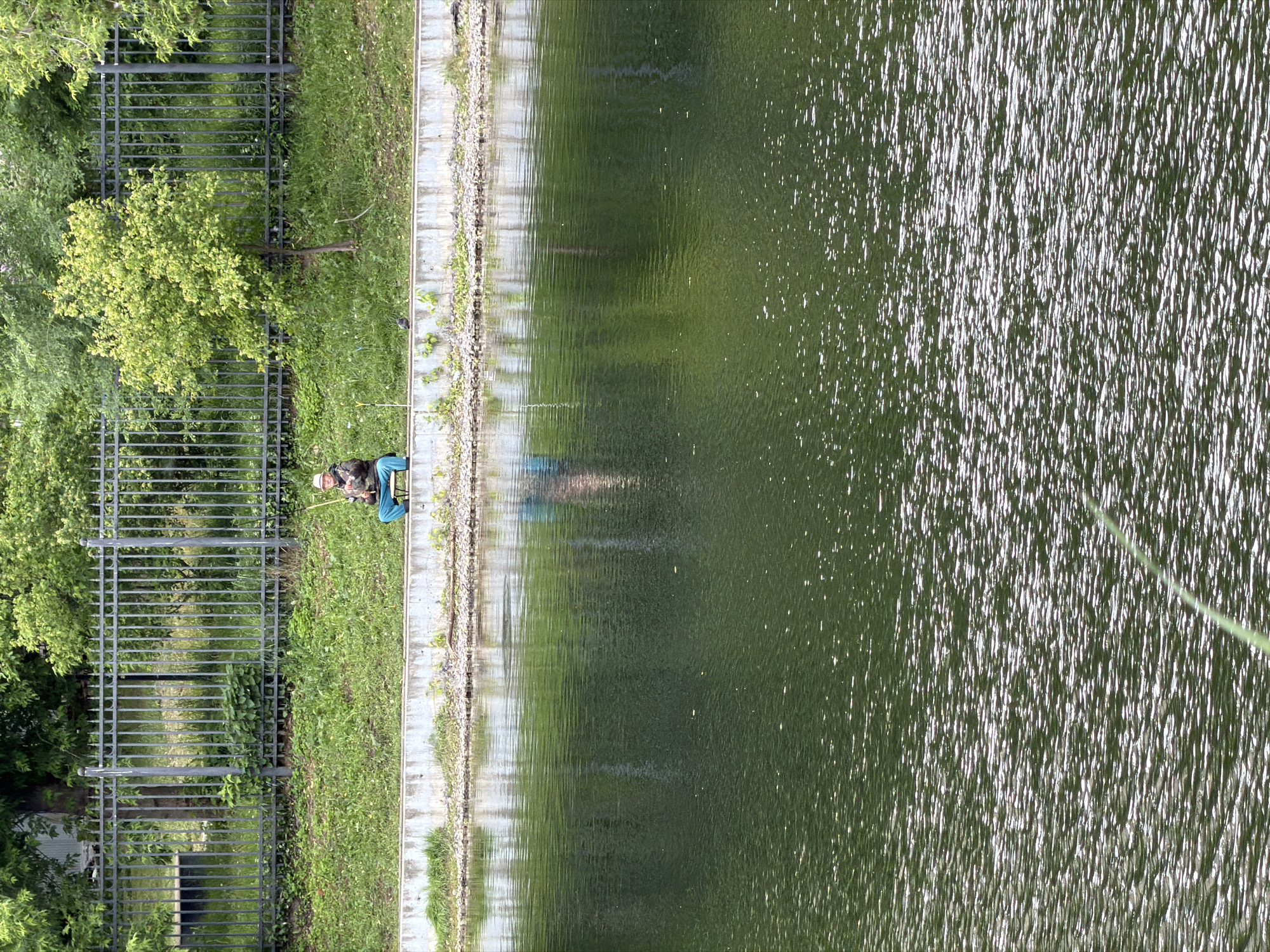 The image depicts a scene in Moscow, Russia. A body of water occupies a significant portion of the frame, its surface reflecting the surrounding environment. Along the water's edge, there is a concrete embankment followed by a grassy area. A dark metal fence runs parallel to the water and grass. Behind the fence, there is dense vegetation.
A person wearing a hat and blue clothing sits on the grassy area near the embankment, holding a fishing rod. The individual appears to be fishing in the body of water.