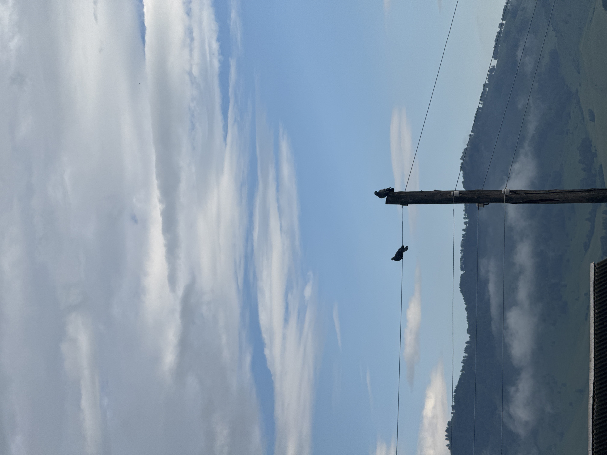 The image depicts a scene of nature with man-made elements. The primary subjects are two birds perched on a wooden utility pole. The pole is old and weathered, with insulators attached. Several wires stretch across the frame, originating from the pole and disappearing into the distance.
The background features a hazy, mountainous landscape with trees silhouetted against a bright sky. Wispy clouds are visible in the sky, suggesting a partly cloudy day. The lighting indicates it is daytime, possibly late morning or early afternoon, given the bright, diffused light.
The scene is set outdoors, likely in a rural or semi-rural area, given the presence of the utility pole and the natural landscape. There are no people visible in the image. The overall impression is one of a serene, natural environment juxtaposed with the infrastructure of human presence.
There is no visible text in the image. The location context provided, Солонешное, Russia, suggests the geographical setting for this image. The weather appears to be fair, with a mix of sun and clouds. The image captures a moment of stillness, with the birds resting on the pole against the backdrop of a vast, natural landscape.