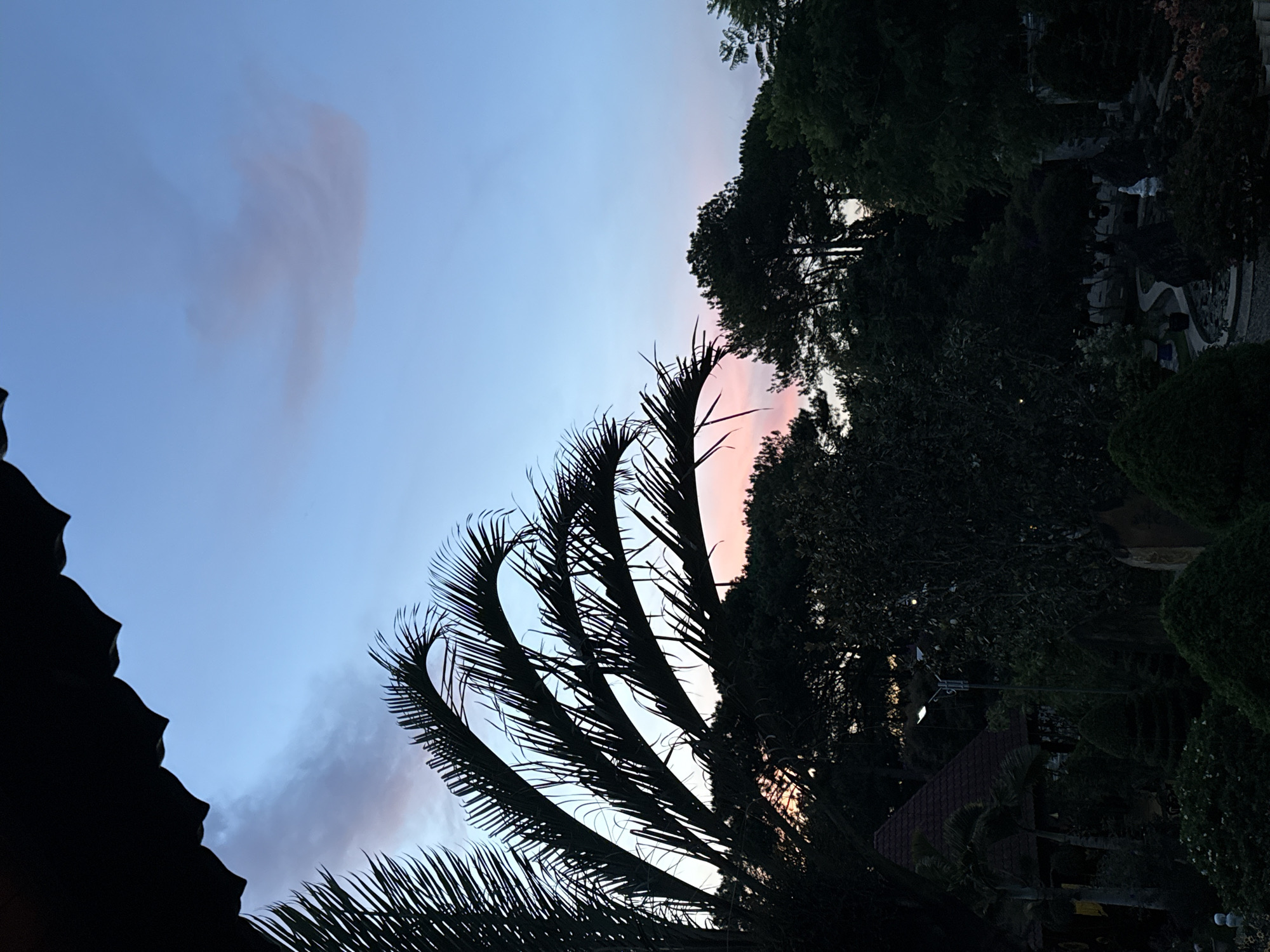 This image depicts a twilight scene in Da Lat, Vietnam. Silhouetted against a gradient sky of pale blue and soft pink are palm fronds in the foreground and the dark foliage of various trees. A roofline, also in silhouette, juts in from the top left of the frame. In the mid-ground, dark shapes suggest buildings and other structures, including what appears to be a tiled roof and a lamppost. The lower portion of the image is dominated by dense, dark vegetation, hinting at a garden or park setting. The overall impression is one of a tranquil, natural landscape at dusk.
