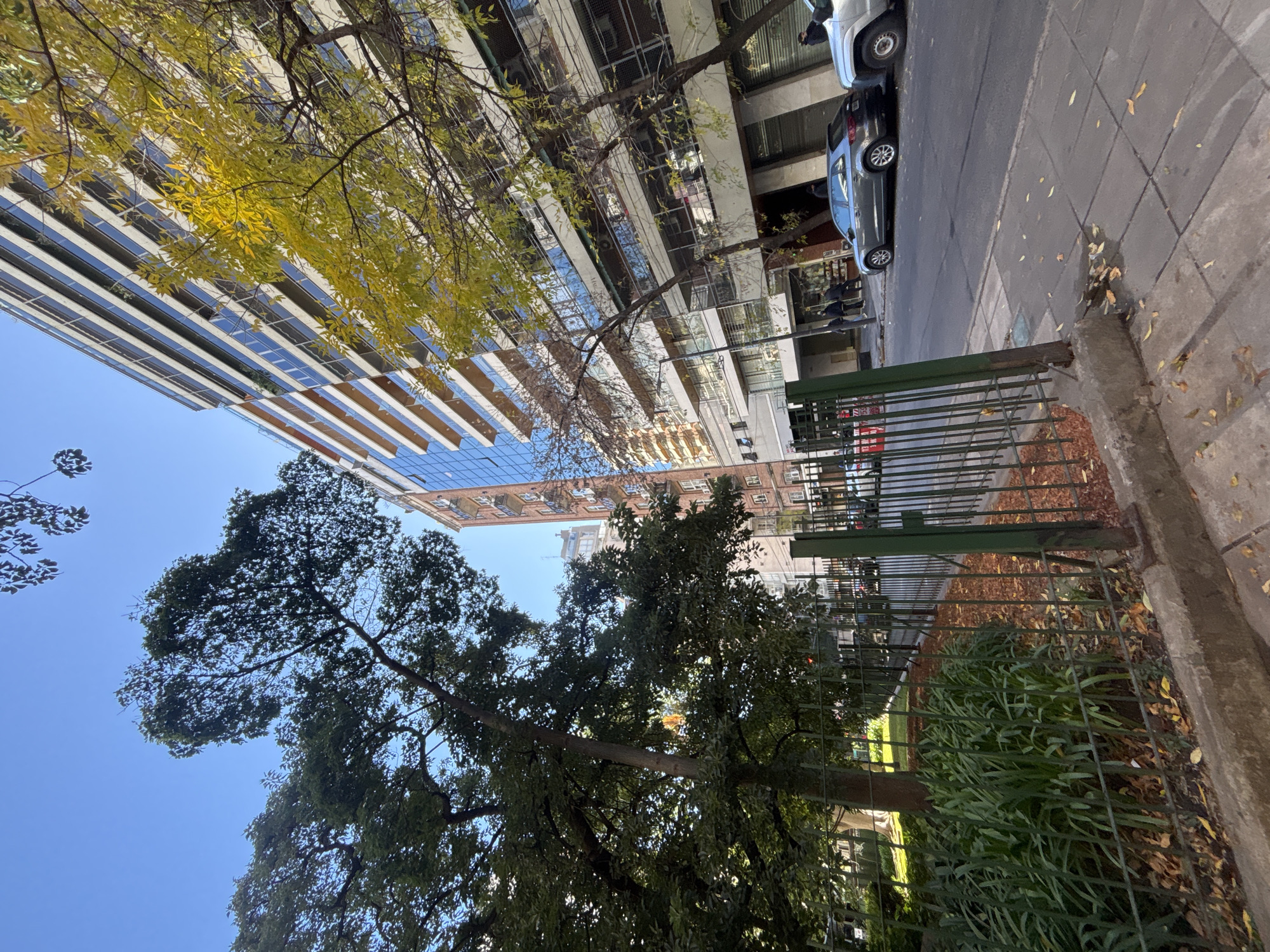 The image shows an urban scene in Buenos Aires, Argentina. Two modern high-rise buildings flank a tree-lined street. One building has a glass façade with horizontal white accents, reflecting the blue sky. The other building is shorter, with a tan and white exterior and visible balconies. Street-level businesses are apparent, and cars are parked along the sidewalk. The foreground features a park separated from the street by a metal fence. Trees with green and yellow foliage provide shade. The sky is clear and blue. Two people are visible.