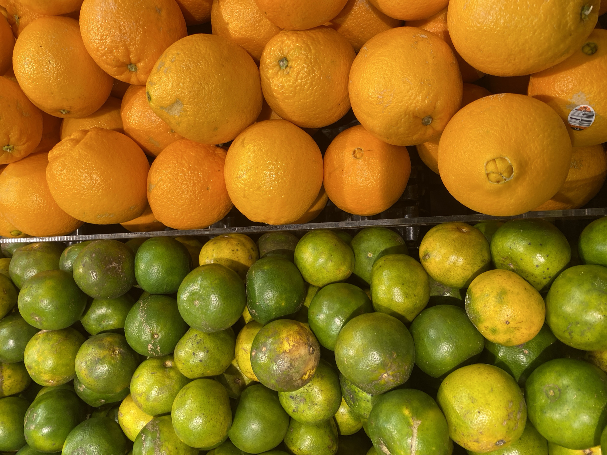 This media file is a close-up, top-down view of two rows of fruit. The top row consists of oranges, which are bright orange and appear to be ripe. The bottom row contains what appear to be limes or small oranges, predominantly green with some yellowing. The fruits are piled high in what looks like a market stall or grocery store display. Some of the oranges have small blemishes or imperfections. One orange in the top right has a sticker that reads "NAVEL ORANGE" with a barcode and other small text. The setting appears to be a commercial space, likely indoors given the lighting. There are no people visible. The overall impression is a vibrant and abundant display of fresh produce. The location context suggests this is East Jakarta, Indonesia, consistent with a bustling market environment.