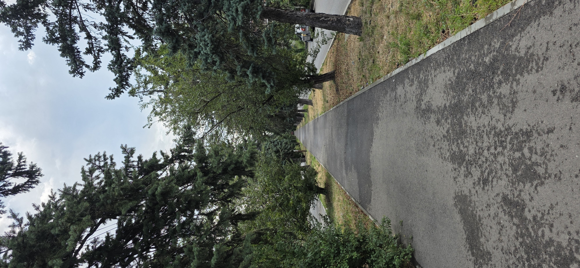 A paved walkway runs through a tree-lined area in Inozemtsevo, Russia. The walkway is bordered by grass and mature trees, including coniferous and deciduous varieties, which create a canopy overhead. On the right side of the walkway, a road is visible with a light-colored car driving away from the camera. The sky is overcast with scattered clouds. The scene appears to be a public park or a tree-lined street within the city.