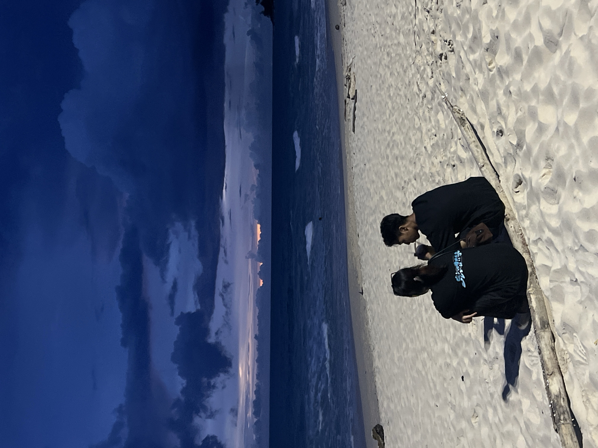Two people are on a sandy beach at dusk, with the ocean to their left and a dark, cloudy sky overhead. The person in front, wearing a black t-shirt with light blue text on the back, is squatting down, looking at something on the ground. Their head is bowed, and their hair is dark and pulled back. The person behind them, also wearing a black t-shirt, is also squatting, looking in the same direction. Their face is partially obscured, but they appear to be looking down as well.
The sand on the beach is light colored and appears rippled, with footprints visible. A long, weathered piece of driftwood lies on the sand between the two individuals. The sky is a deep blue, with hints of pink and orange near the horizon where the sun has recently set. Dark, heavy clouds fill the upper portion of the sky, creating a dramatic contrast with the lighter sky above the ocean. The water is dark and appears to have small waves breaking on the shore. The overall atmosphere is calm and peaceful, with the subjects seemingly engrossed in whatever they are examining on the beach. The visible text on the back of the shirt reads "GHOSTBUSTERS".