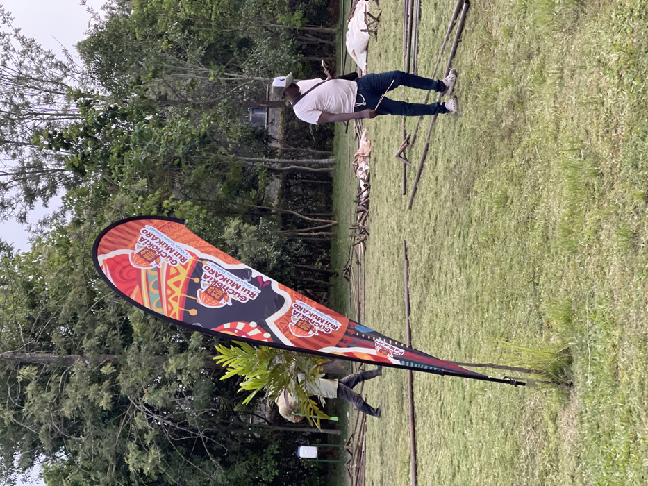 The image captures an outdoor scene, likely in a field or park, characterized by a vast expanse of green grass and numerous trees under an overcast sky. The setting appears to be Makuyu, Kenya.
In the left foreground, a prominent, colorful teardrop-shaped banner stands upright. The banner's design is vibrant, featuring traditional-looking patterns in shades of red, orange, yellow, and black on a dark background. Repeated text on the banner clearly reads "GUCHOKIA RUI MUKARO," with a smaller line below specifying "A Reggae Culture Festival." Graphic elements resembling stylized calabashes or drums are also visible on the banner.
Towards the center-right of the frame, a man stands facing to his left. He wears a light-colored t-shirt, dark trousers (possibly jeans), white sneakers, and a light-colored baseball cap. A shoulder bag is visible across his body. Further back and partially obscured by the banner and some foliage, another individual can be seen, possibly tending to a small plant.
The grassy ground extends into the background, where numerous wooden poles or beams are scattered, suggesting the setup or dismantling of structures for an event. The backdrop is filled with lush green trees, indicating a natural environment. The overall impression is that of an outdoor event, specifically a reggae culture festival, in its preparatory stages during the daytime.