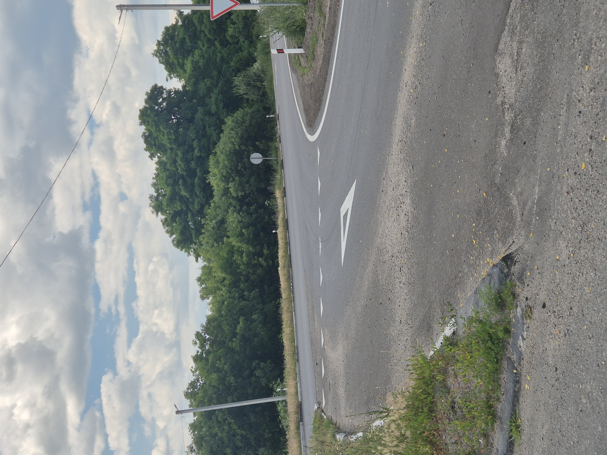 The image shows an outdoor scene at a road intersection. The road surface is asphalt and appears somewhat worn. White directional arrows are painted on the road, indicating a turn. A white line marks the edge of the road. Along the side of the road, there is dry grass and some sparse green vegetation growing near a concrete curb. In the background, a dense line of green trees forms a natural barrier. Overhead, a cloudy sky with patches of blue is visible, with a power line stretching across the frame. There are also several utility poles and road signs present, including a triangular warning sign and a round white sign. The scene is set during the daytime. The location is identified as Pidhaitsi, Ukraine.