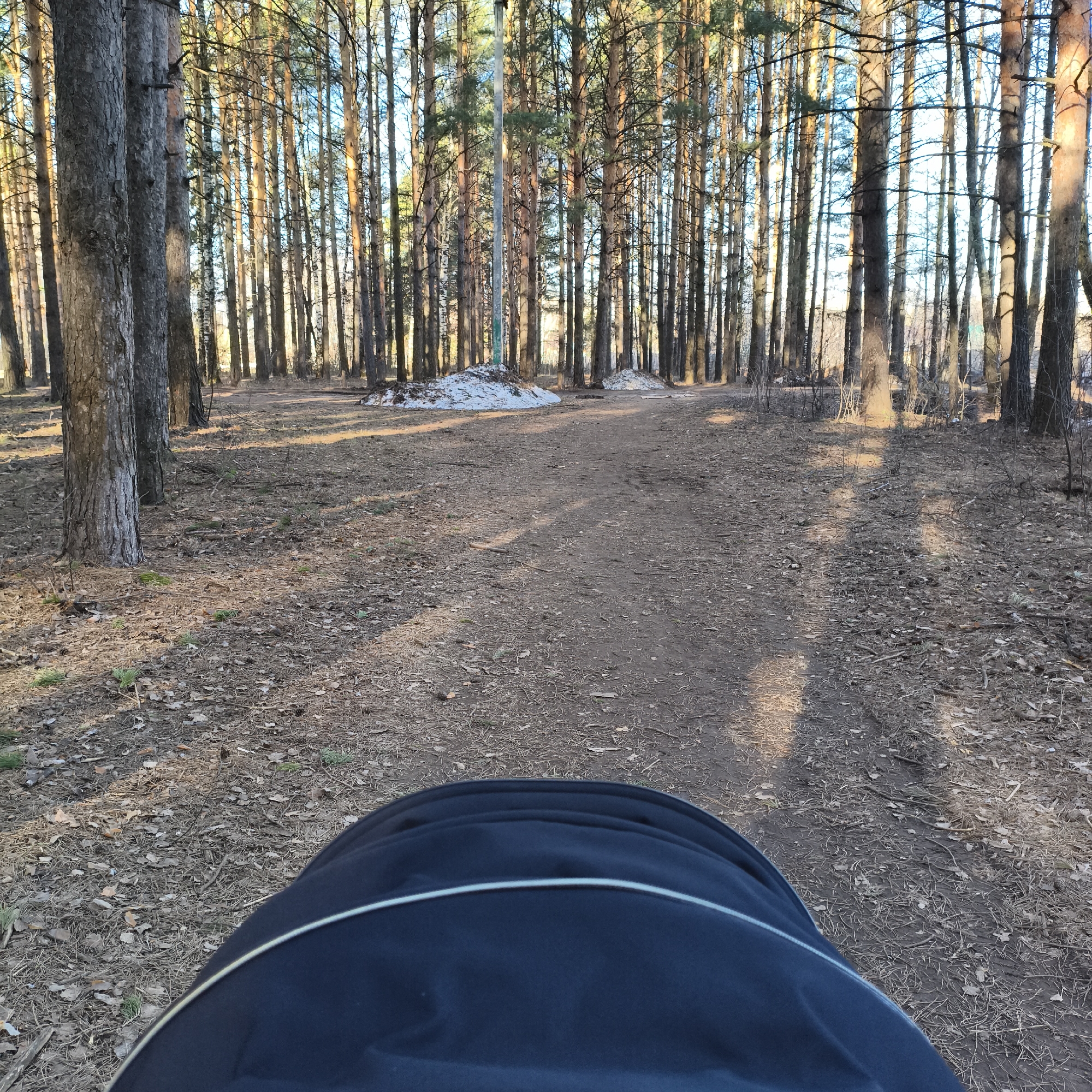 The image presents a first-person perspective, looking forward from behind a dark blue or black stroller with a light-colored stripe, as it traverses a forest path. The path, made of packed dirt and covered with fallen pine needles, leaves, and small branches, winds gently into the distance.
The dominant subjects are the numerous tall, slender pine trees that line both sides of the path, creating a dense forest environment. Sunlight, likely from a low angle during early morning or late afternoon, illuminates the upper portions and trunks of the trees, casting long shadows across the forest floor and highlighting the natural texture of the bark.
Further down the path, two distinct mounds of melting snow are visible, indicating that the photo was taken during a transitional season like late winter or early spring. One snow pile is situated near a tall, grey pole, possibly a utility pole, which stands amidst the trees. The sky is partially visible through the canopy, appearing clear or lightly cloudy.
The scene conveys a sense of calm and peacefulness, characteristic of a walk in nature. No people are explicitly visible, but the presence of the stroller implies someone is pushing it. There is no visible text in the image. The location is a forest in Chaikovsky, Russia.